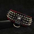the "DAVID" hand stitched 3.15 inch wide show collar by Bestia Dog Gear