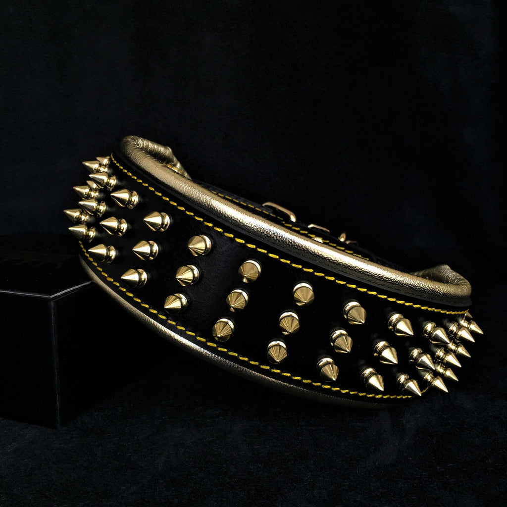 The "Gold Giant" collar by Bestia Dog Gear