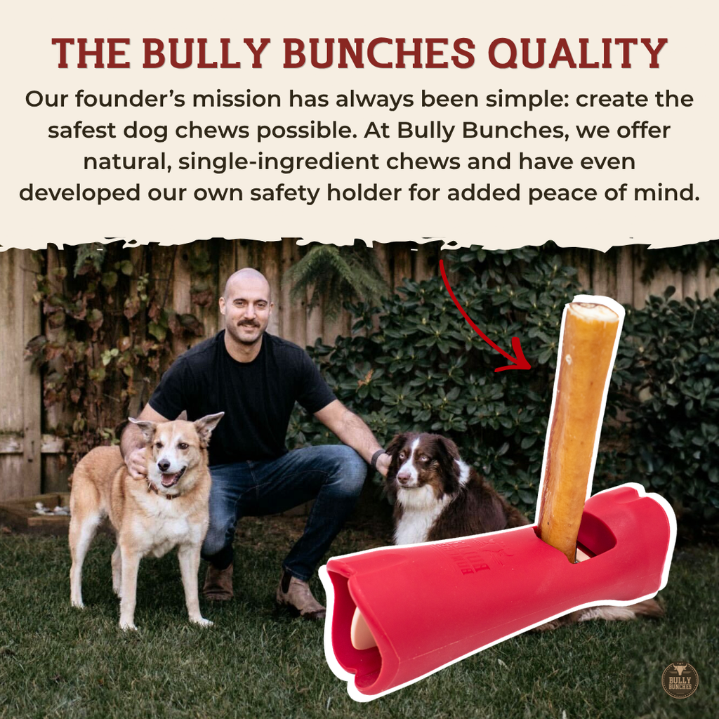 12 Inch Jumbo Braided Bully Stick by Bully Bunches