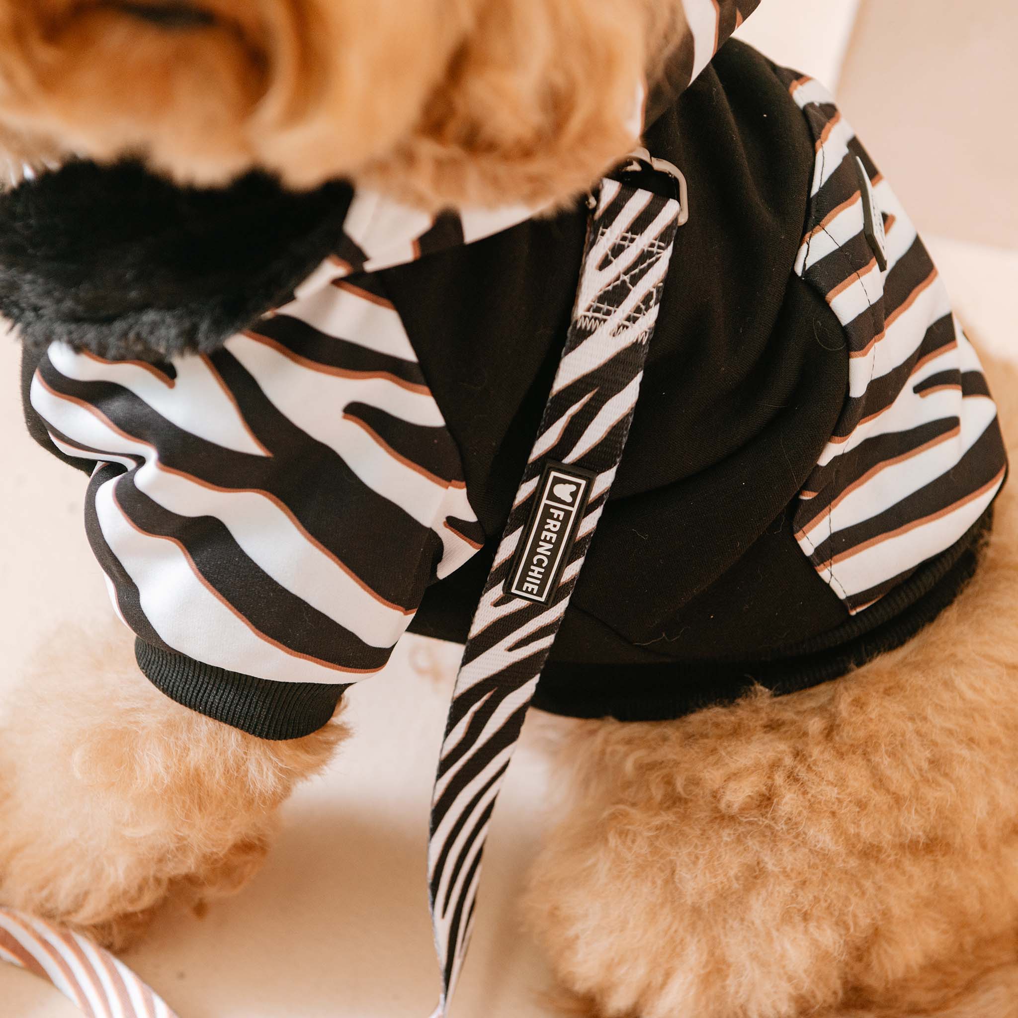 Frenchie Dog Hoodie - Zebra by Frenchie Bulldog