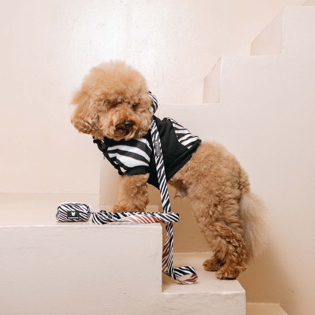Frenchie Dog Hoodie - Zebra by Frenchie Bulldog