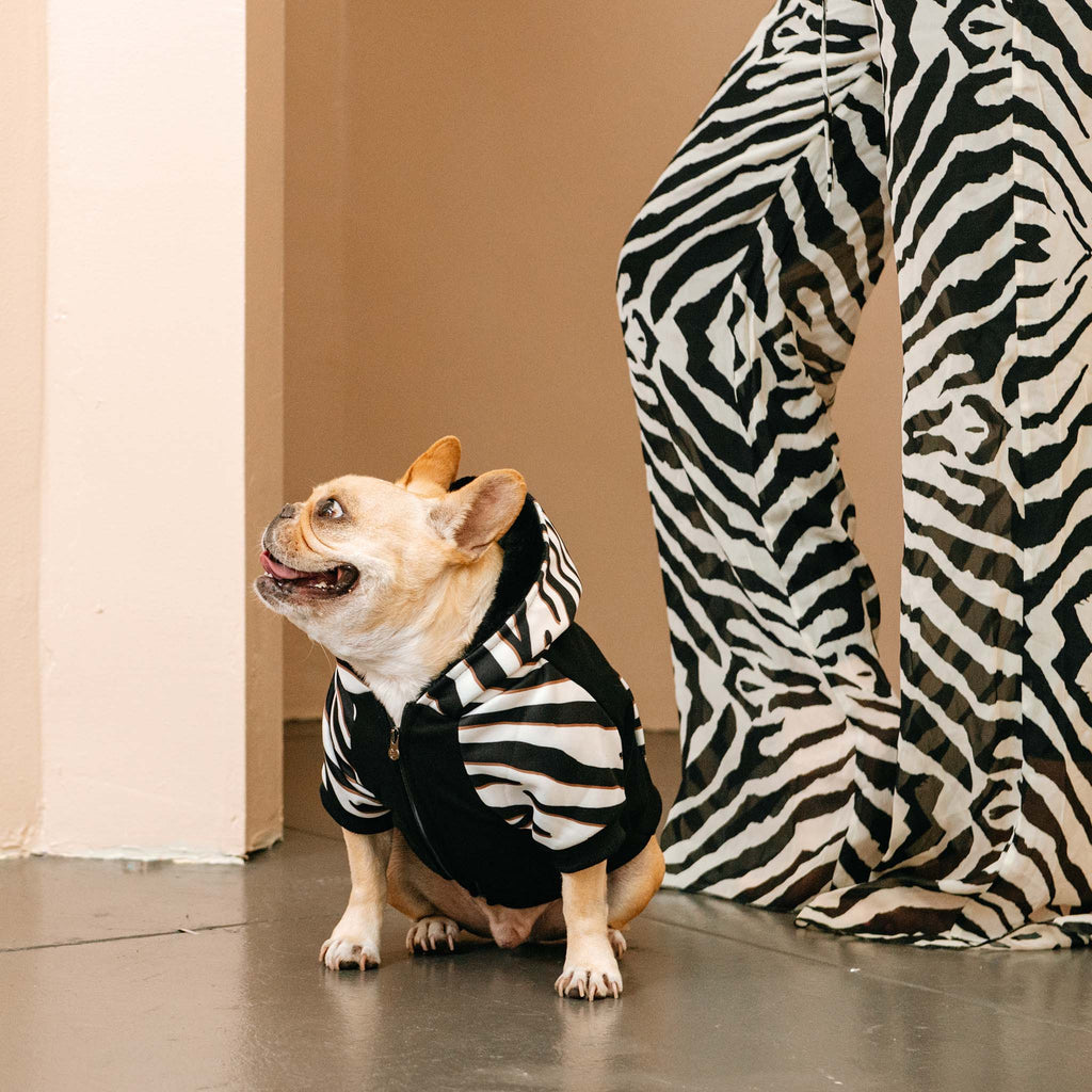 Frenchie Dog Hoodie - Zebra by Frenchie Bulldog