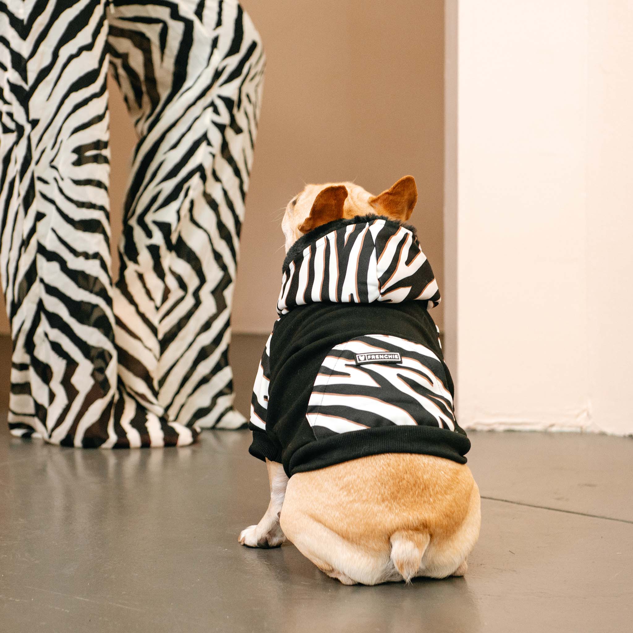 Frenchie Dog Hoodie - Zebra by Frenchie Bulldog