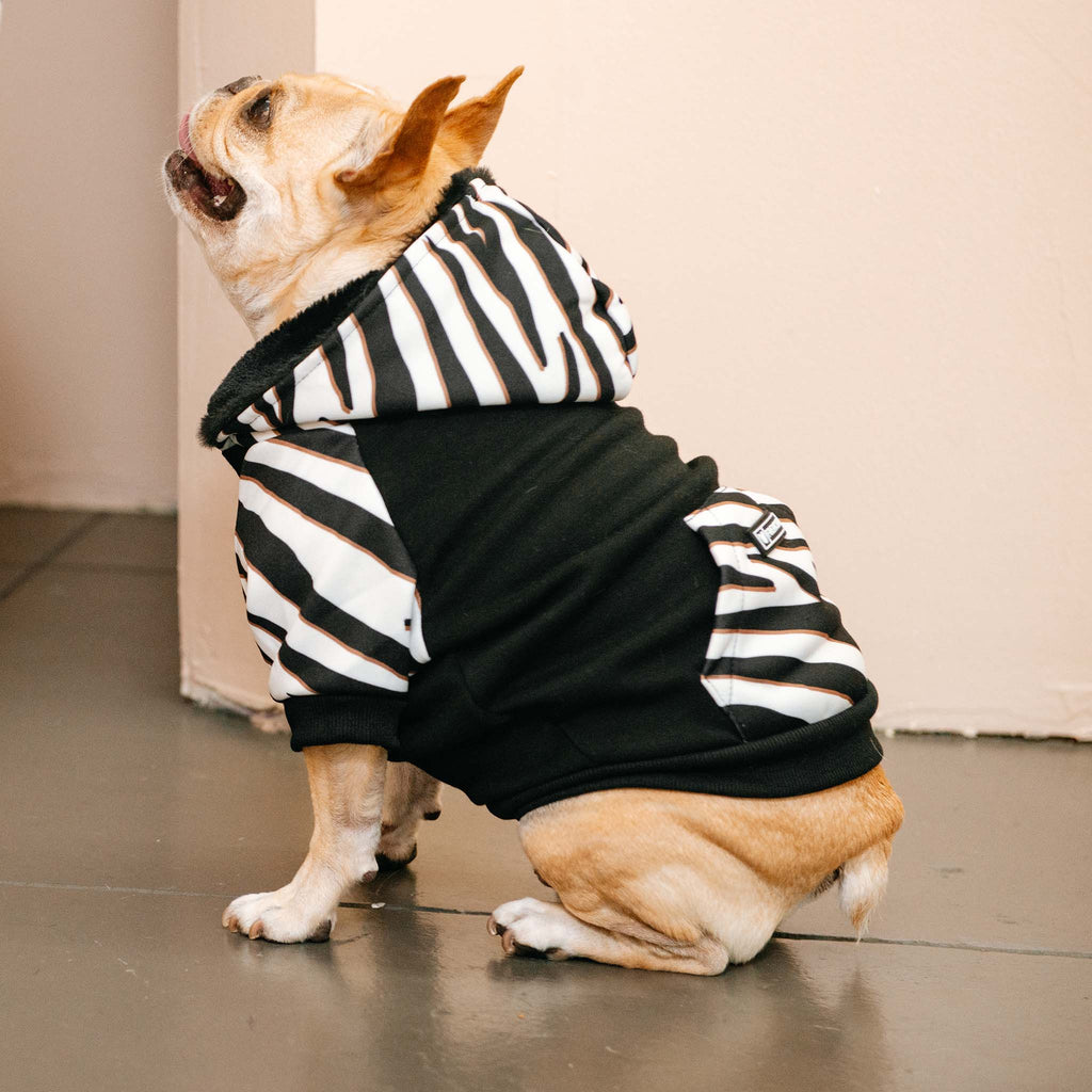 Frenchie Dog Hoodie - Zebra by Frenchie Bulldog