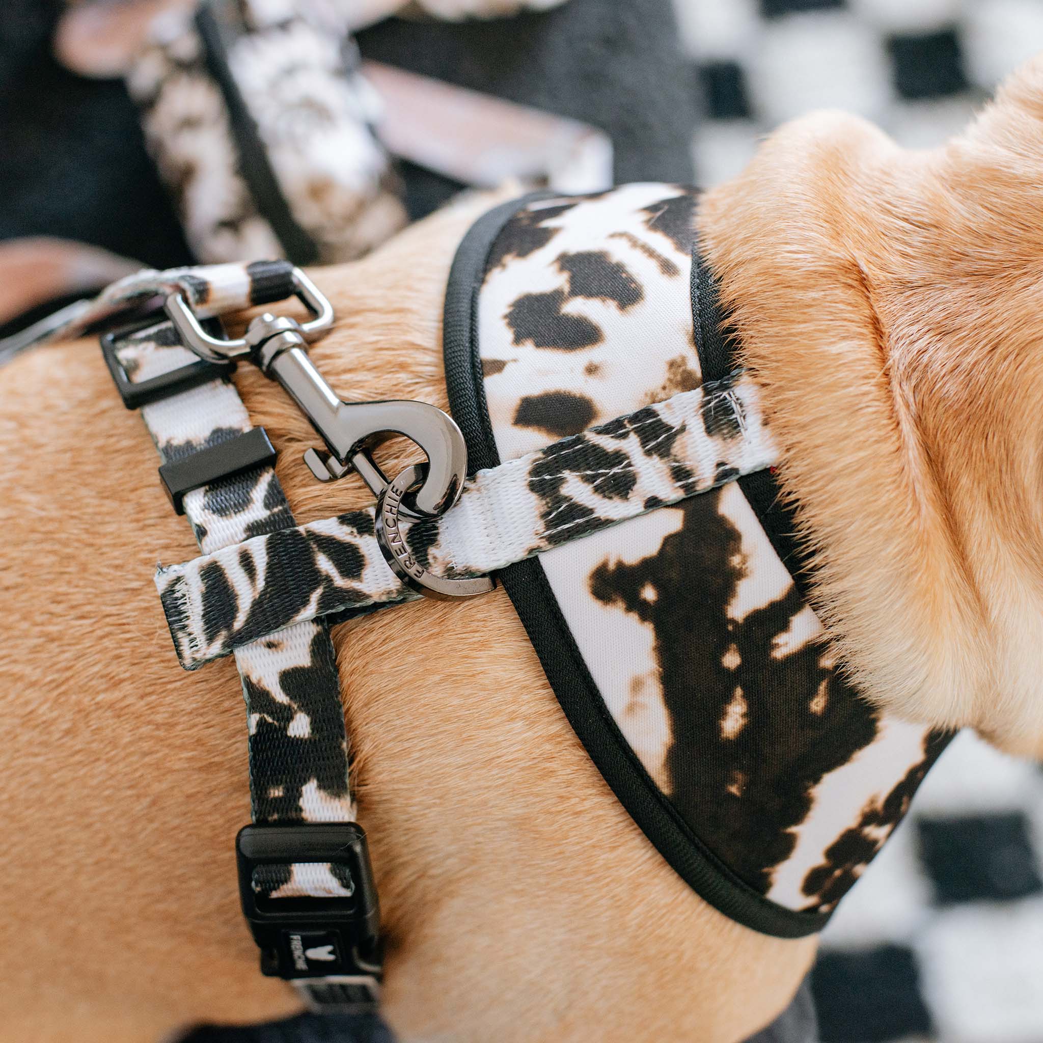 Frenchie Duo Reversible Harness - Earthy Tie Dye by Frenchie Bulldog