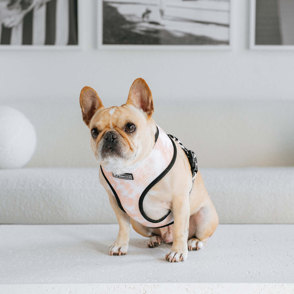 Frenchie Duo Reversible Harness - Earthy Tie Dye by Frenchie Bulldog