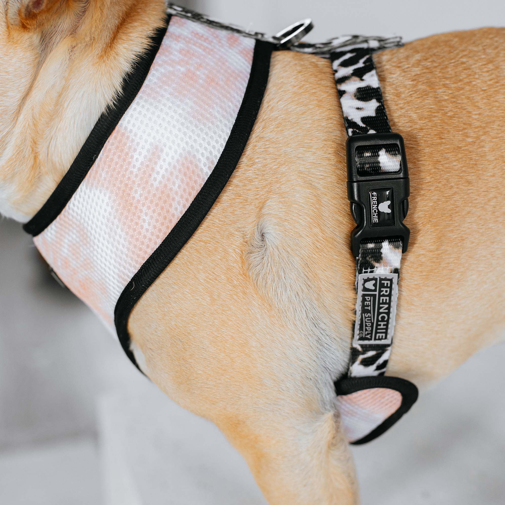 Frenchie Duo Reversible Harness - Earthy Tie Dye by Frenchie Bulldog