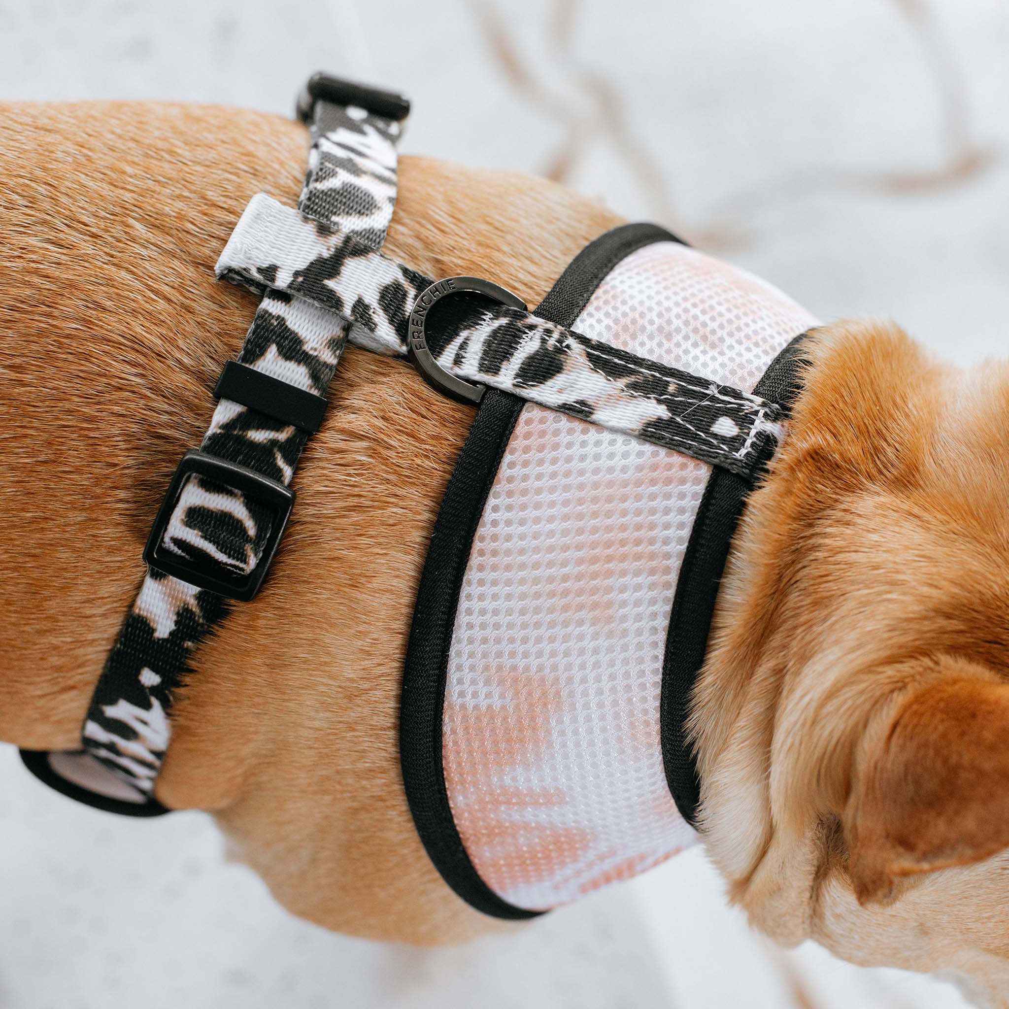 Frenchie Duo Reversible Harness - Earthy Tie Dye by Frenchie Bulldog