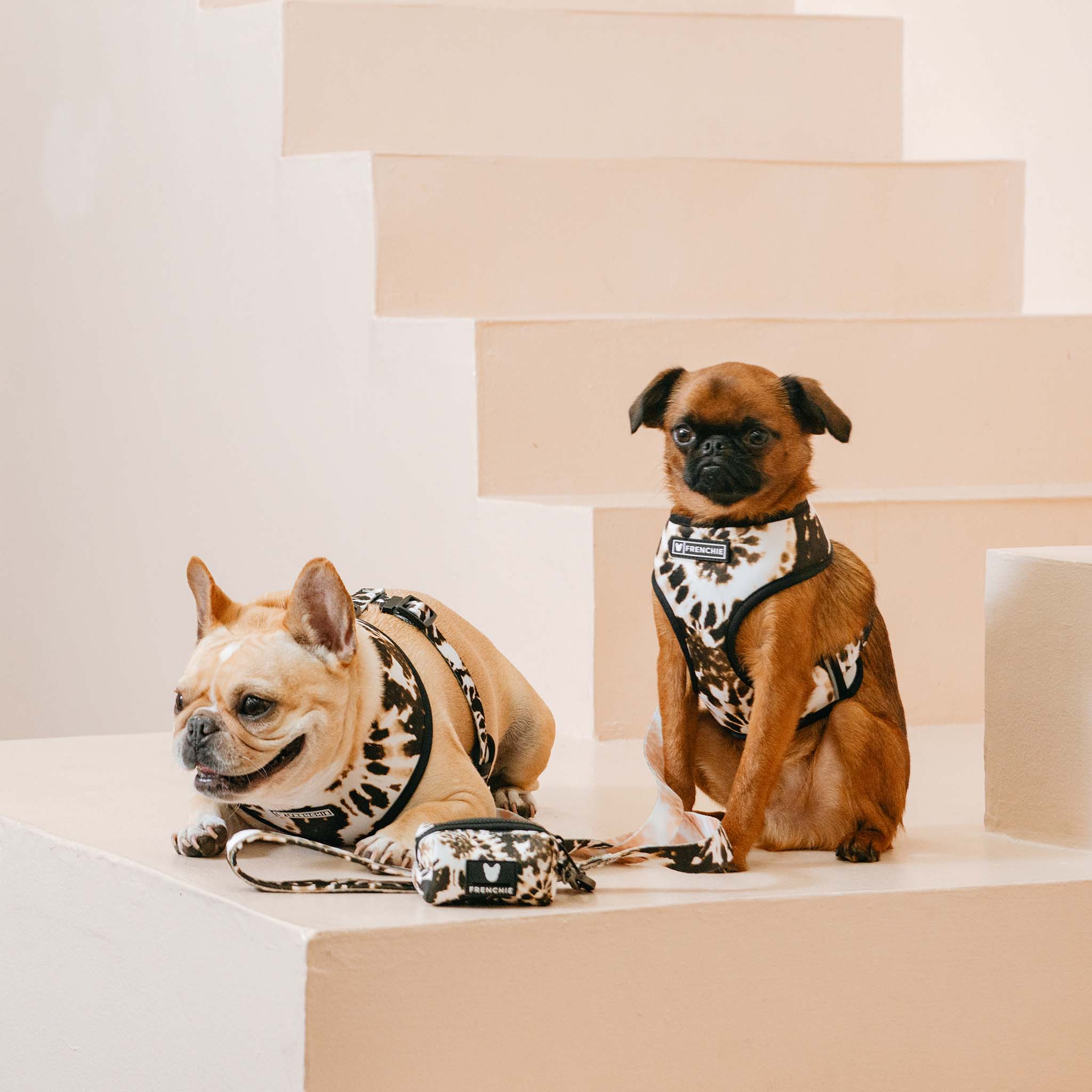 Frenchie Duo Reversible Harness - Earthy Tie Dye by Frenchie Bulldog
