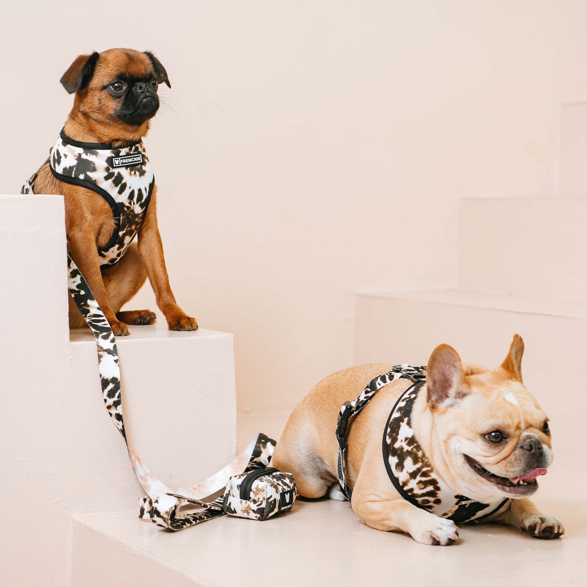 Frenchie Duo Reversible Harness - Earthy Tie Dye by Frenchie Bulldog