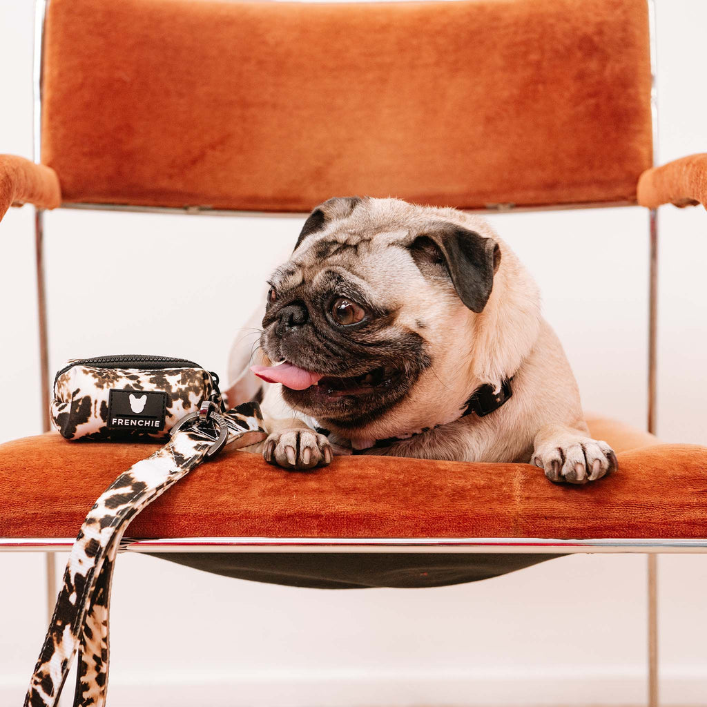 Frenchie Poo Bag Holder - Earthy Tie Dye by Frenchie Bulldog