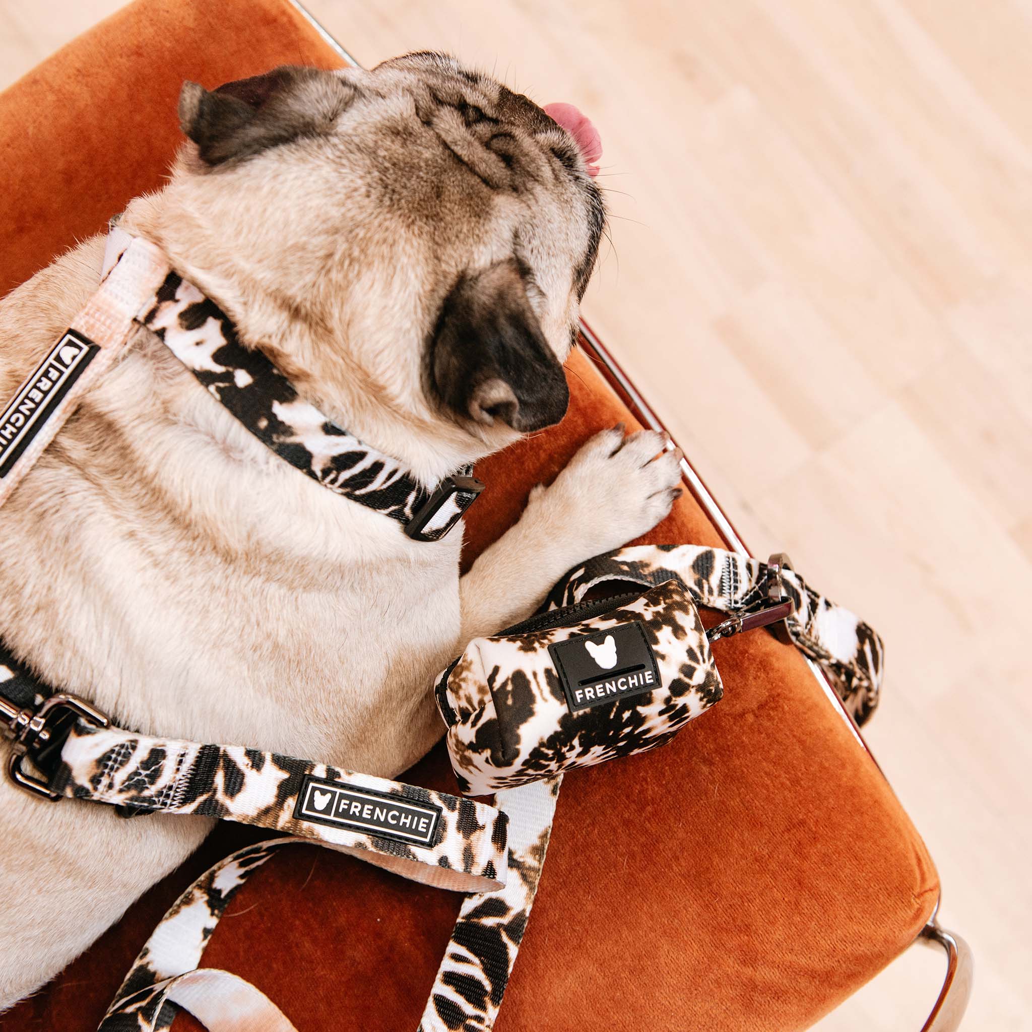 Frenchie Poo Bag Holder - Earthy Tie Dye by Frenchie Bulldog
