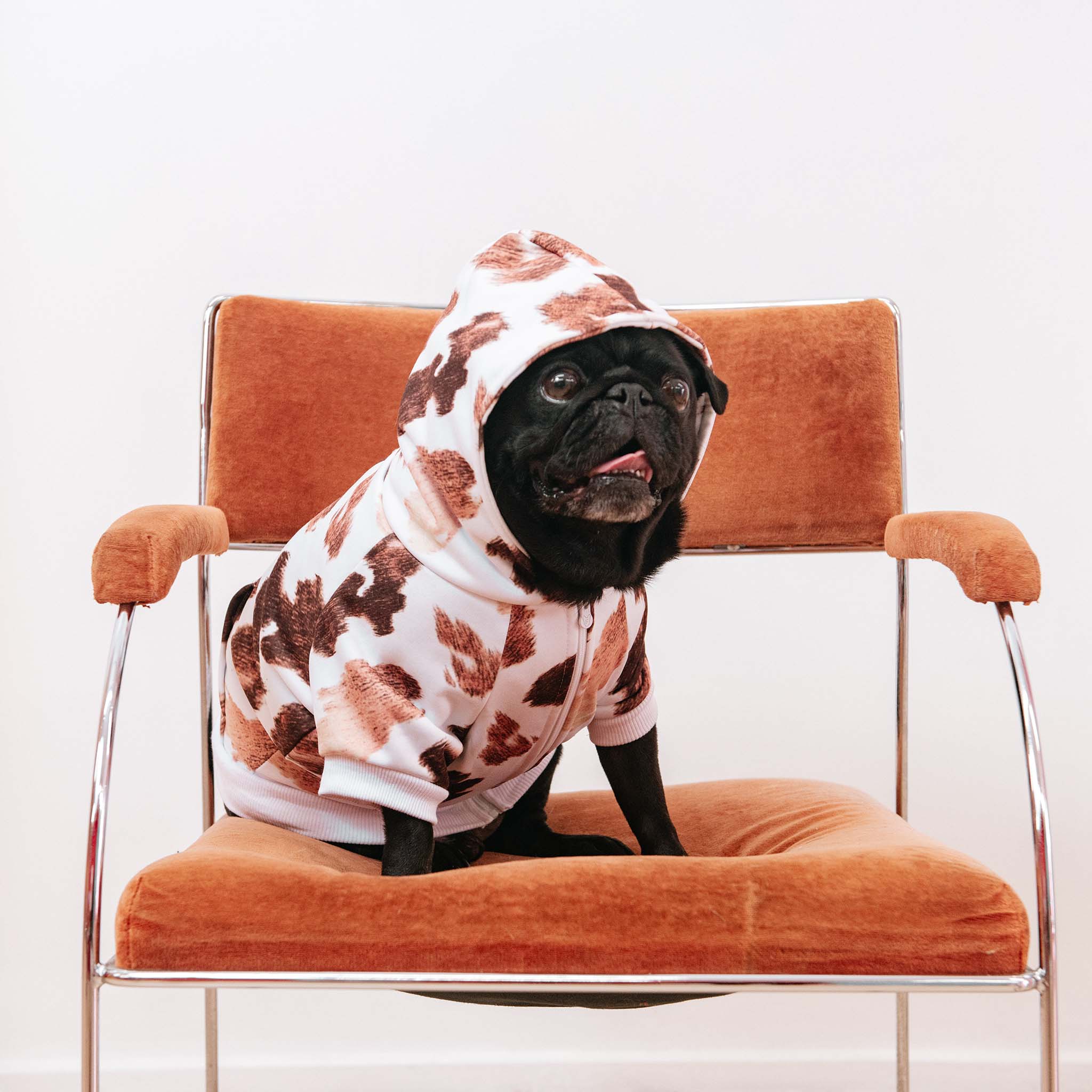 Frenchie Dog Hoodie - Moo by Frenchie Bulldog