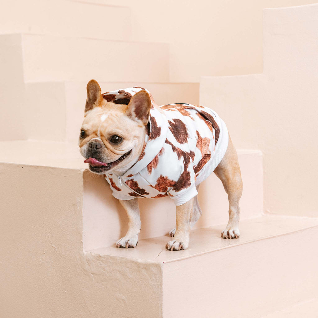 Frenchie Dog Hoodie - Moo by Frenchie Bulldog