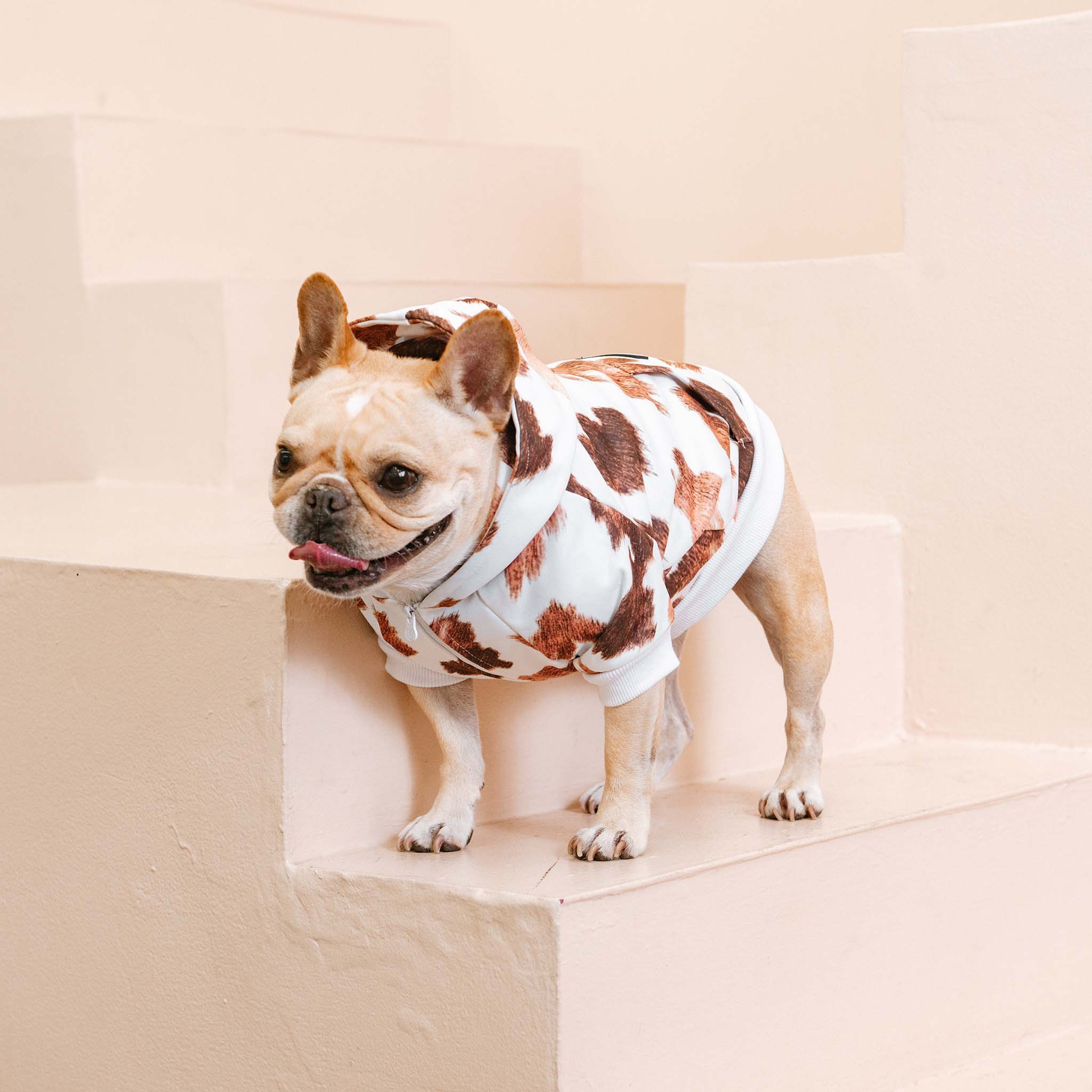 Frenchie Dog Hoodie - Moo by Frenchie Bulldog