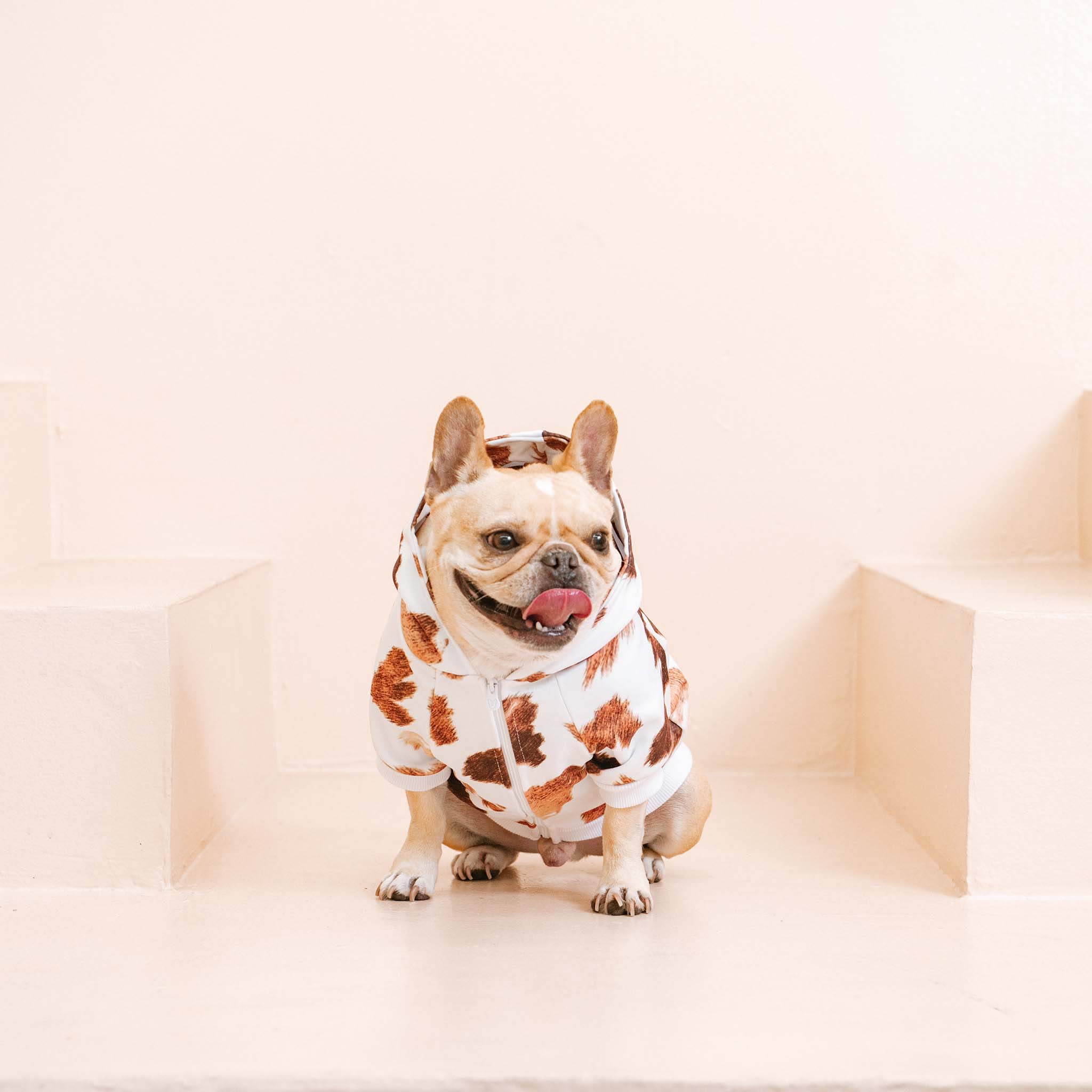 Frenchie Dog Hoodie - Moo by Frenchie Bulldog