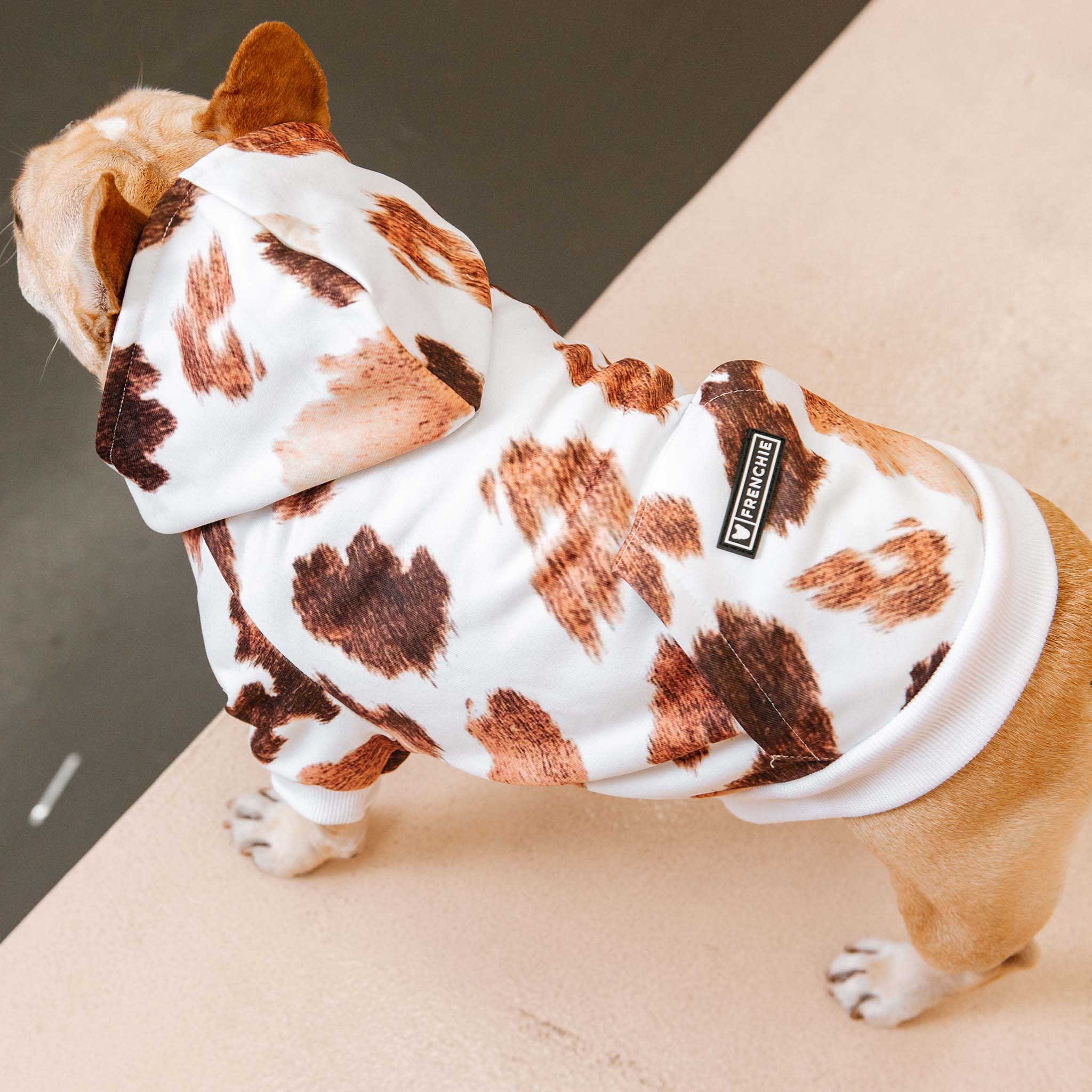 Frenchie Dog Hoodie - Moo by Frenchie Bulldog