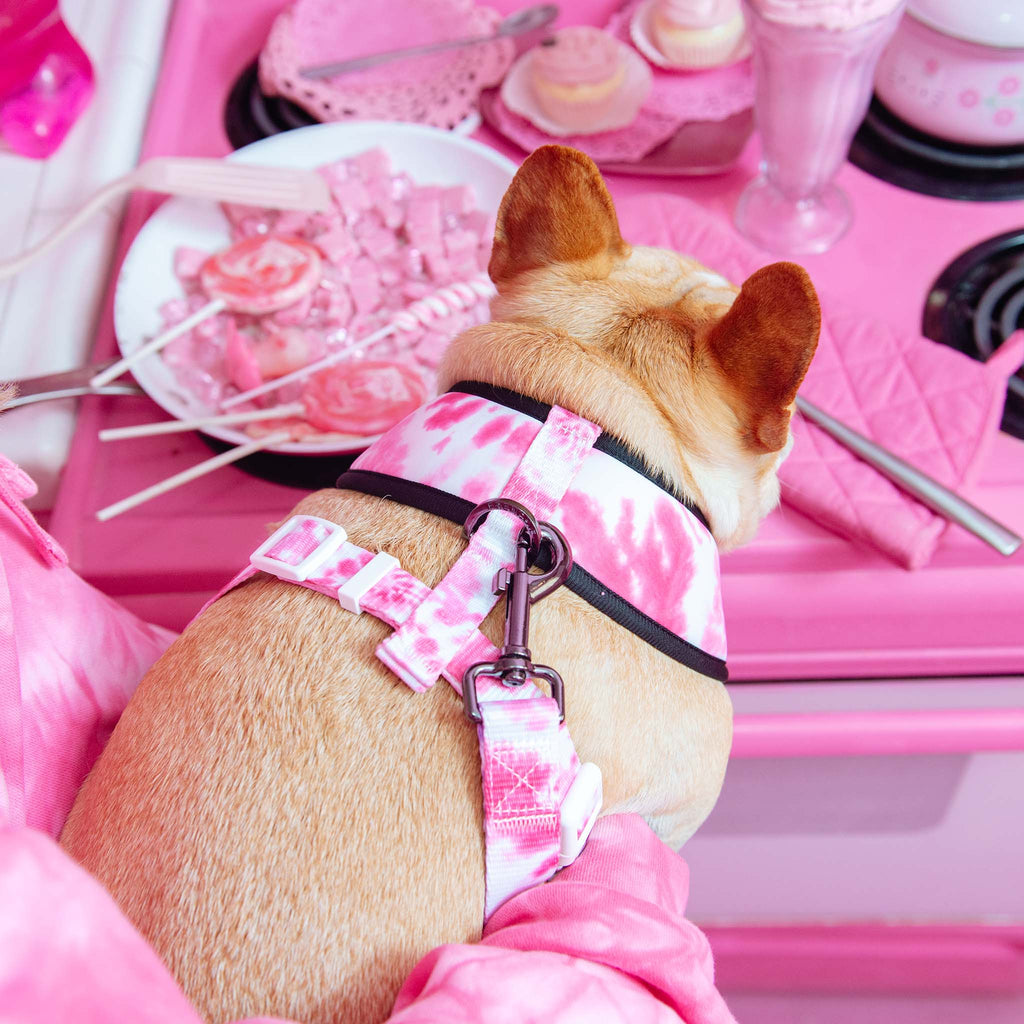 Frenchie Duo Reversible Harness - Pink Tie Dye by Frenchie Bulldog