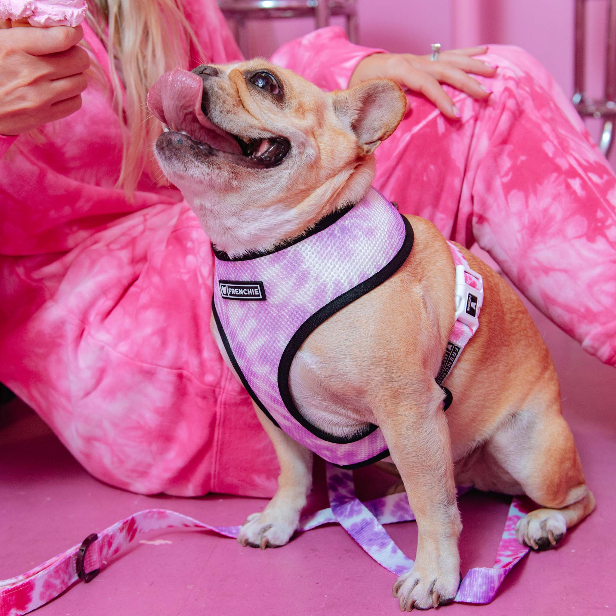 Frenchie Duo Reversible Harness - Pink Tie Dye by Frenchie Bulldog