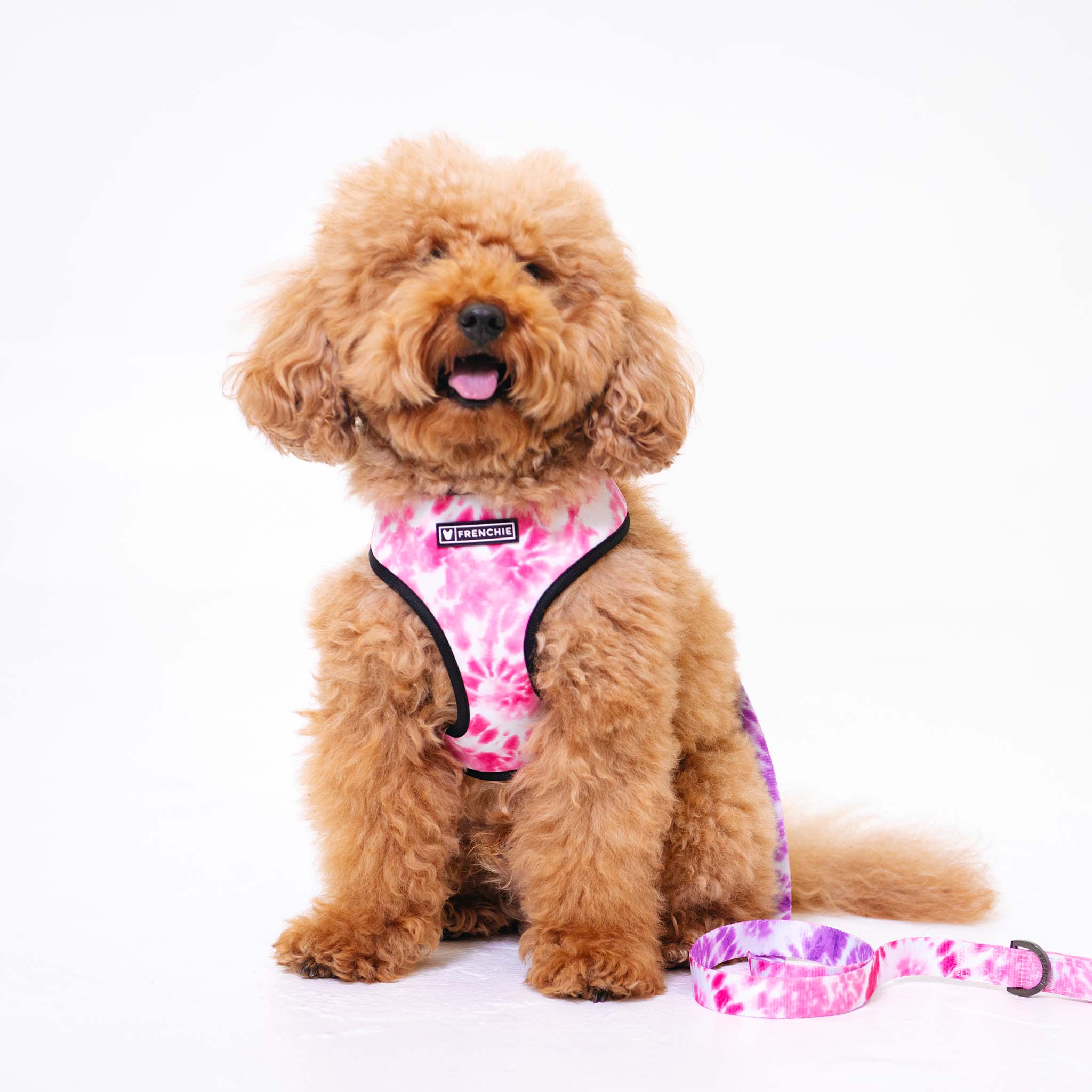 Frenchie Duo Reversible Harness - Pink Tie Dye by Frenchie Bulldog