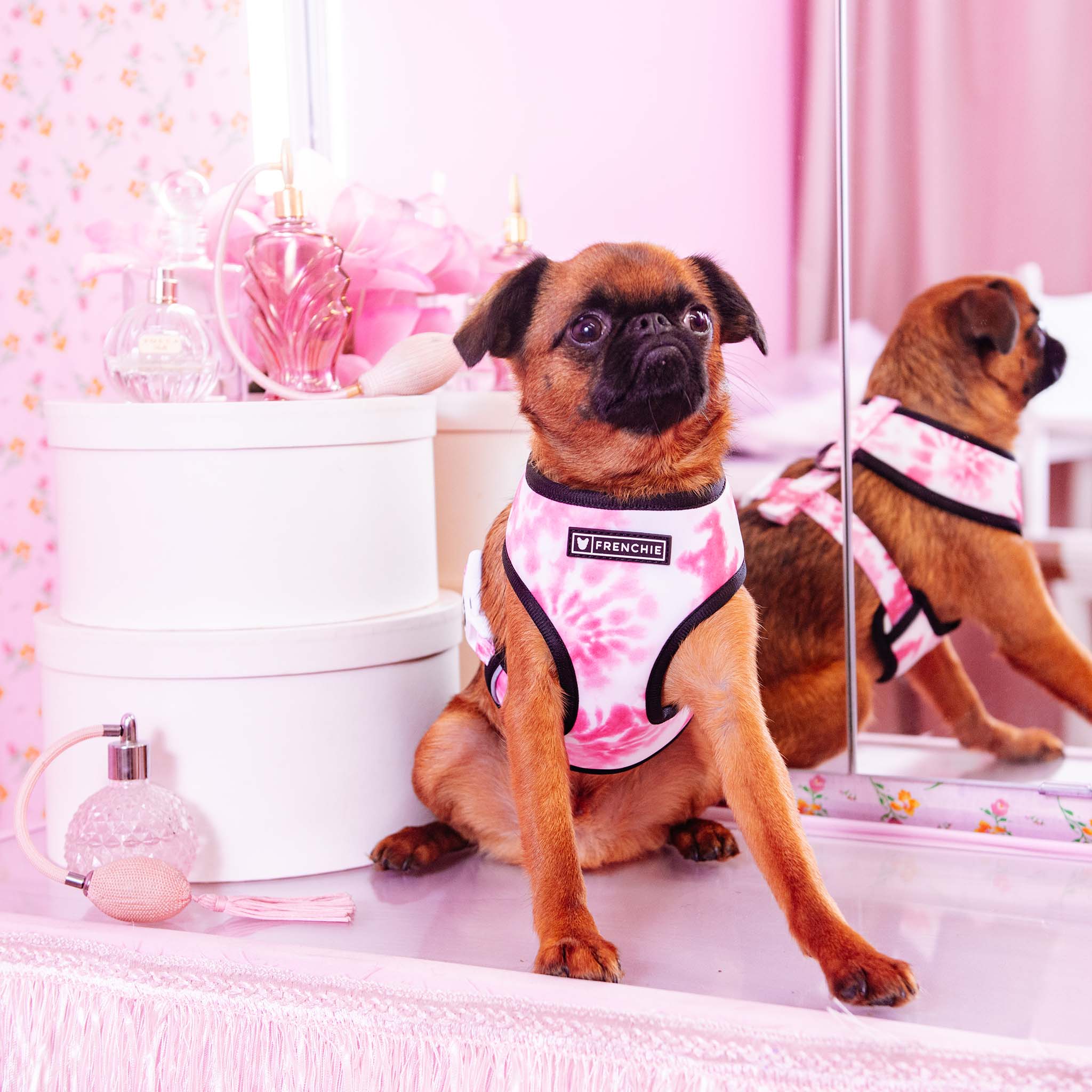 Frenchie Duo Reversible Harness - Pink Tie Dye by Frenchie Bulldog