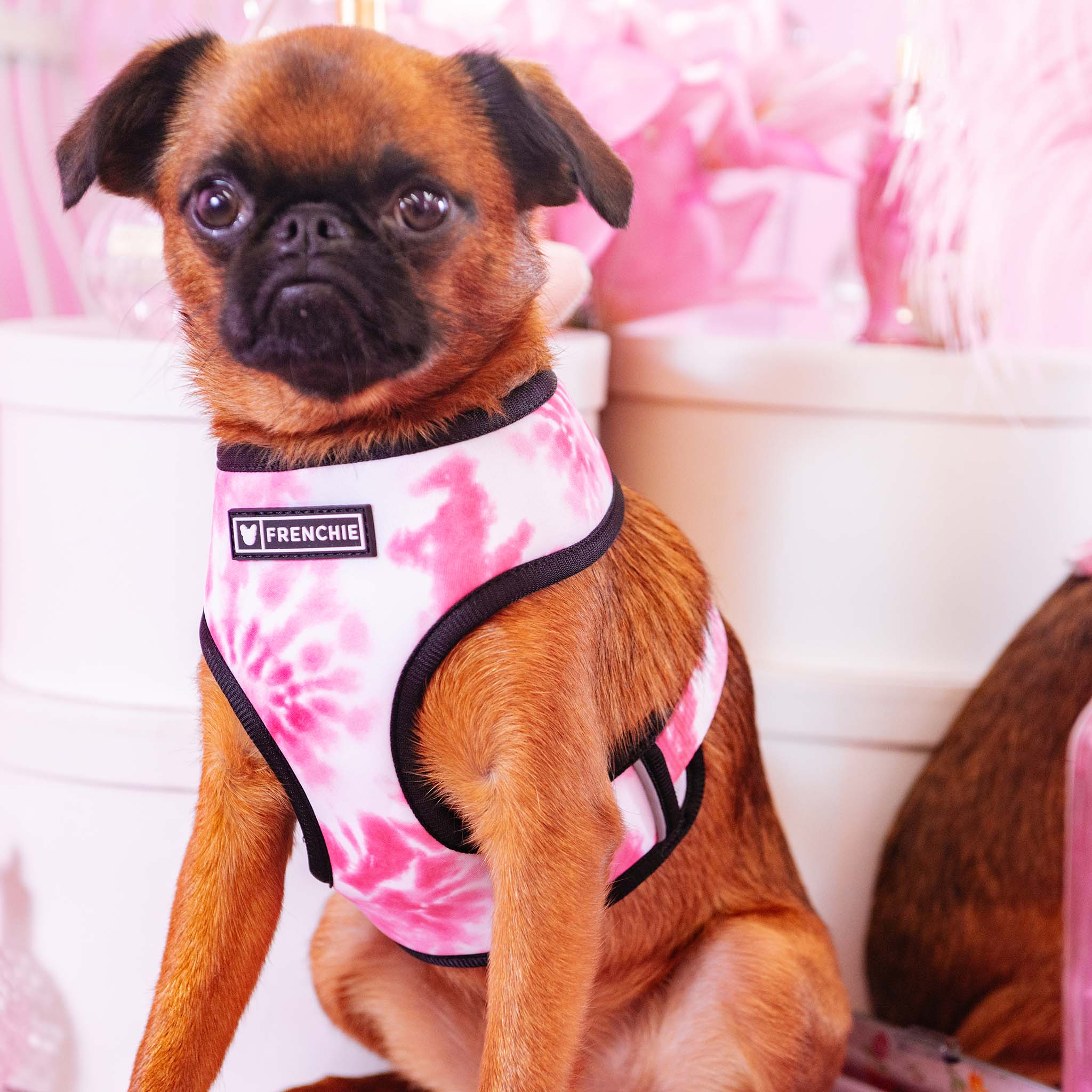 Frenchie Duo Reversible Harness - Pink Tie Dye by Frenchie Bulldog