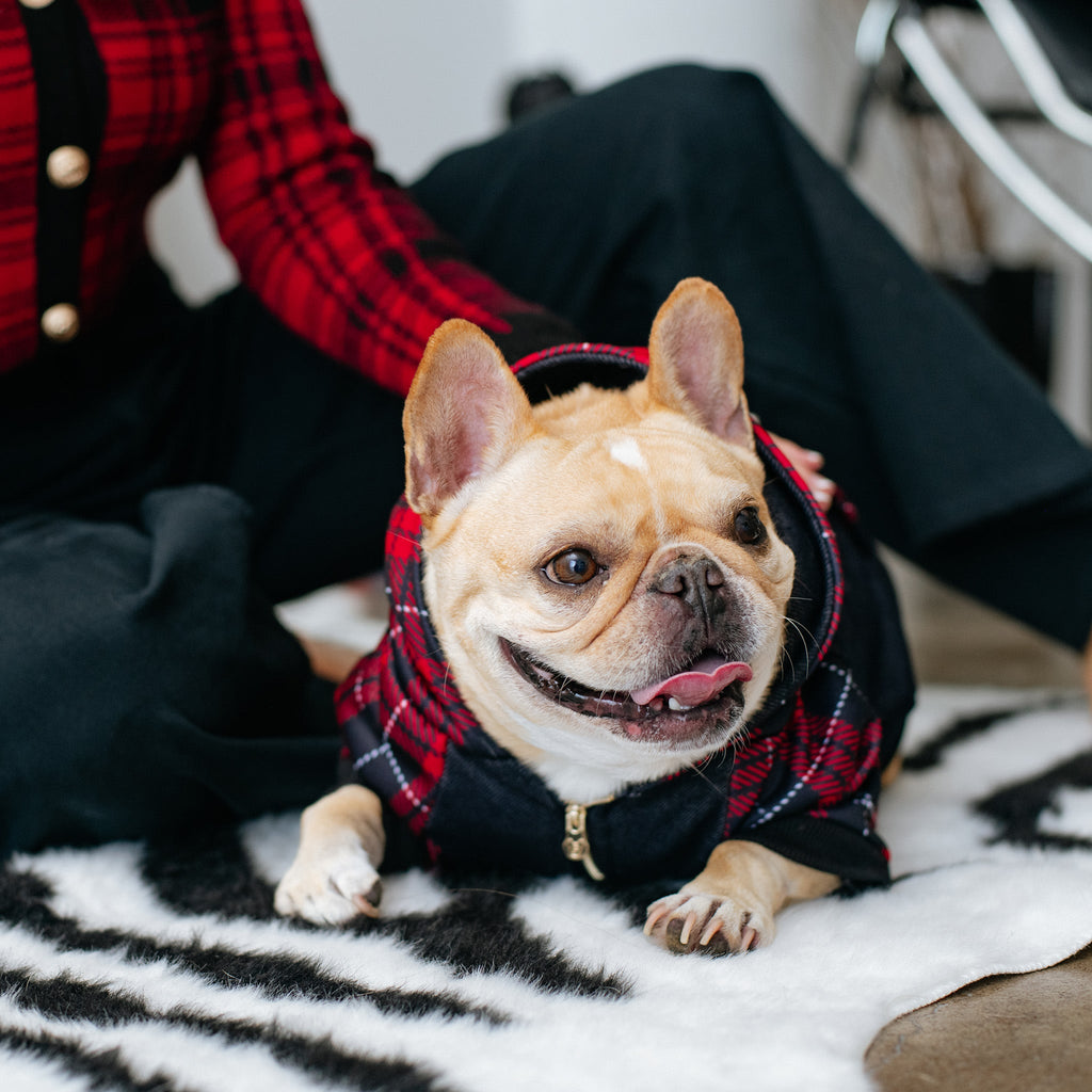 Frenchie Dog Hoodie - Red Tartan by Frenchie Bulldog