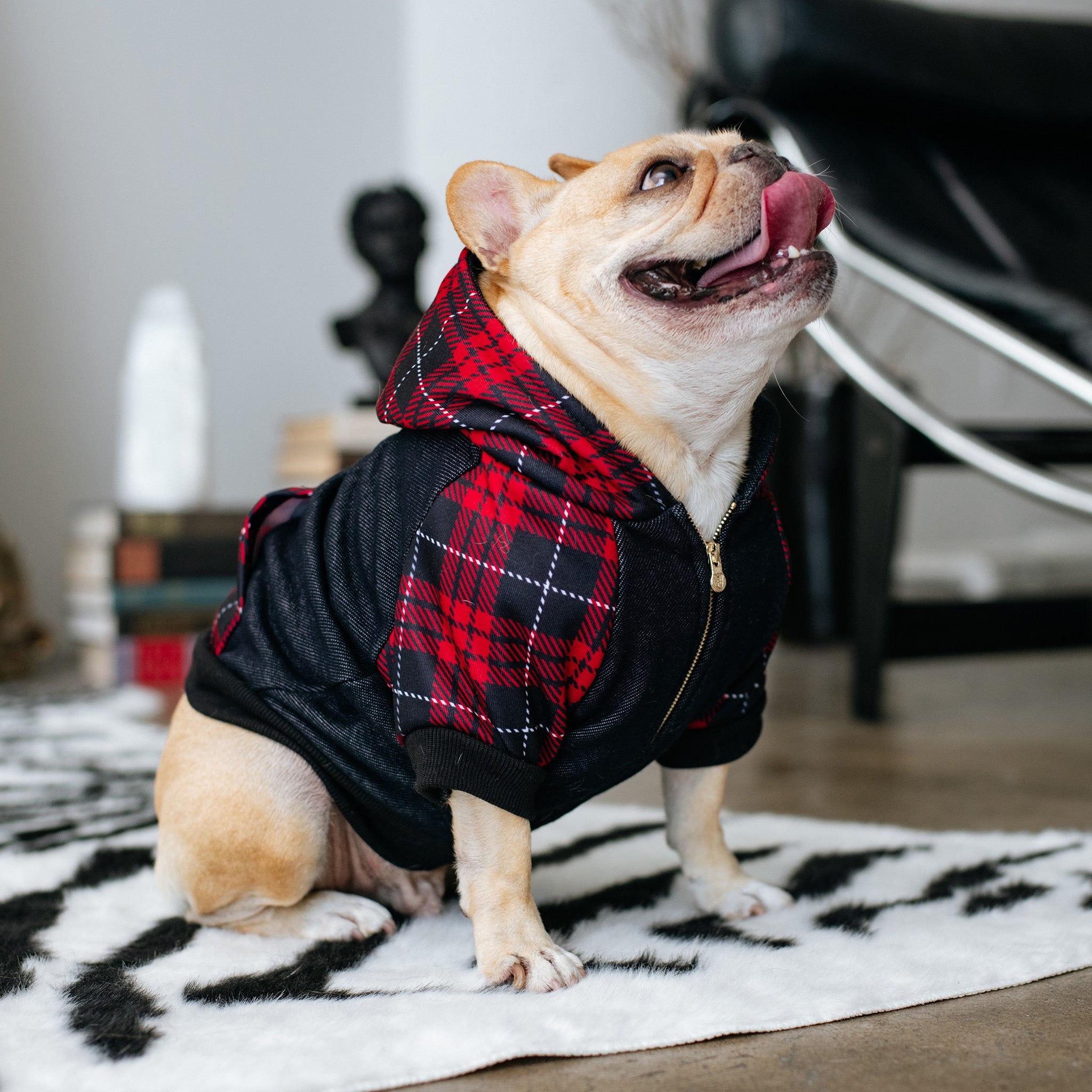 Frenchie Dog Hoodie - Red Tartan by Frenchie Bulldog