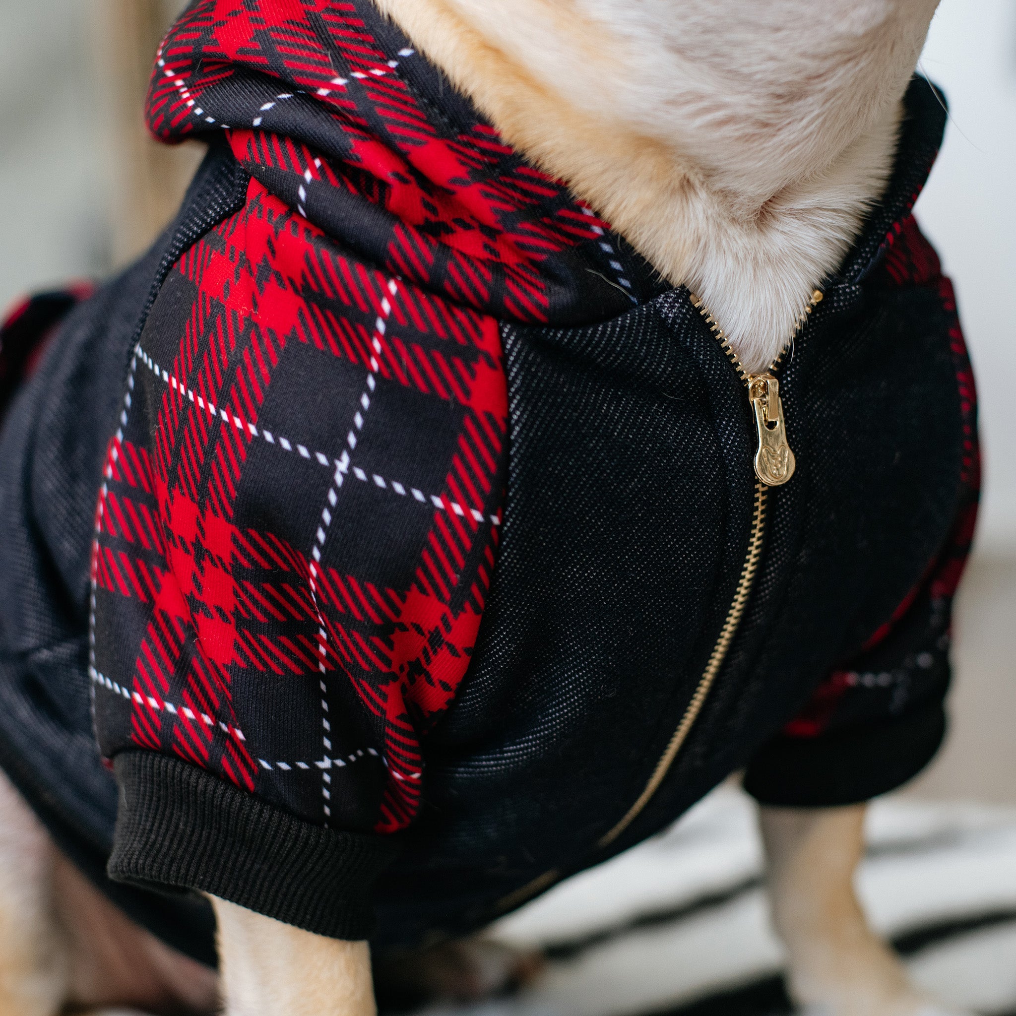 Frenchie Dog Hoodie - Red Tartan by Frenchie Bulldog