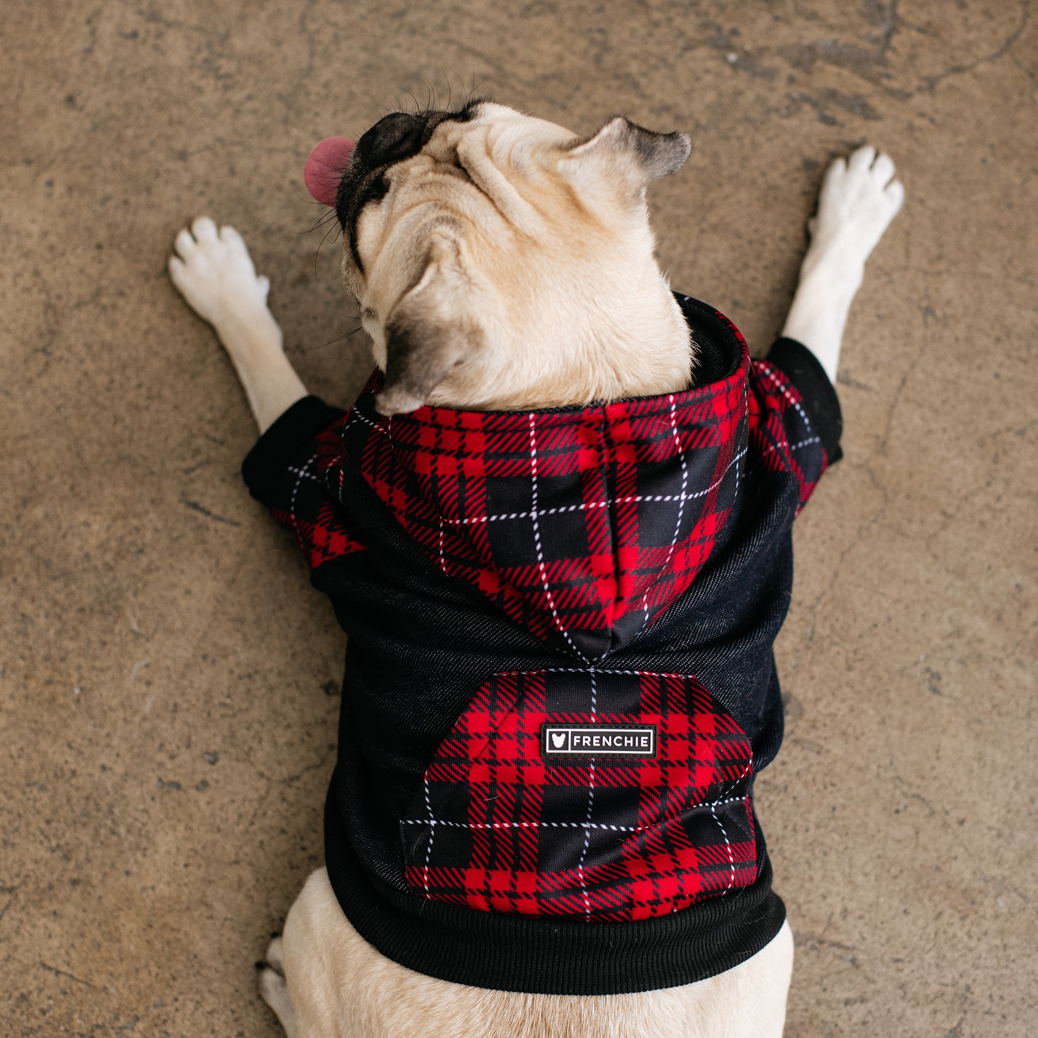 Frenchie Dog Hoodie - Red Tartan by Frenchie Bulldog