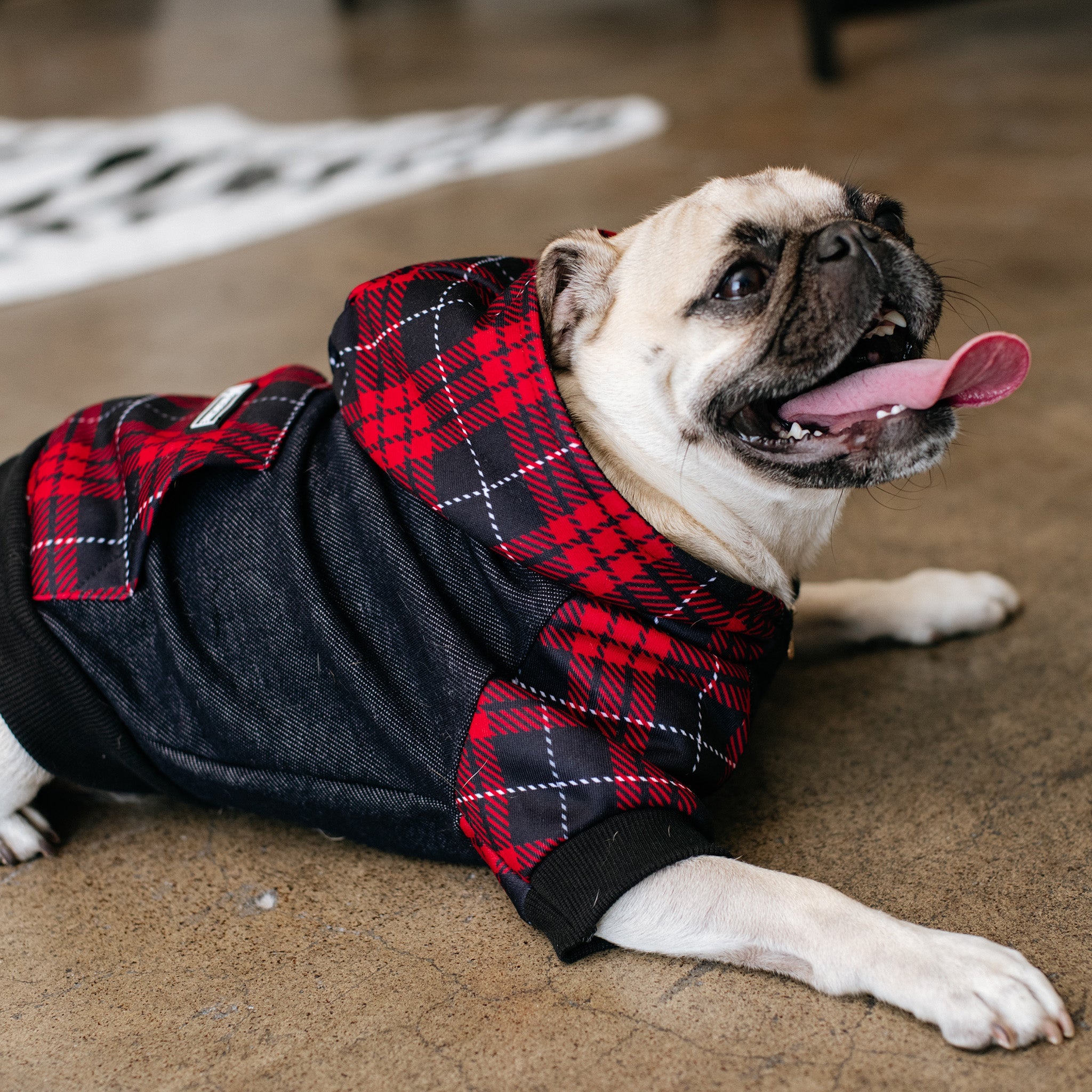 Frenchie Dog Hoodie - Red Tartan by Frenchie Bulldog
