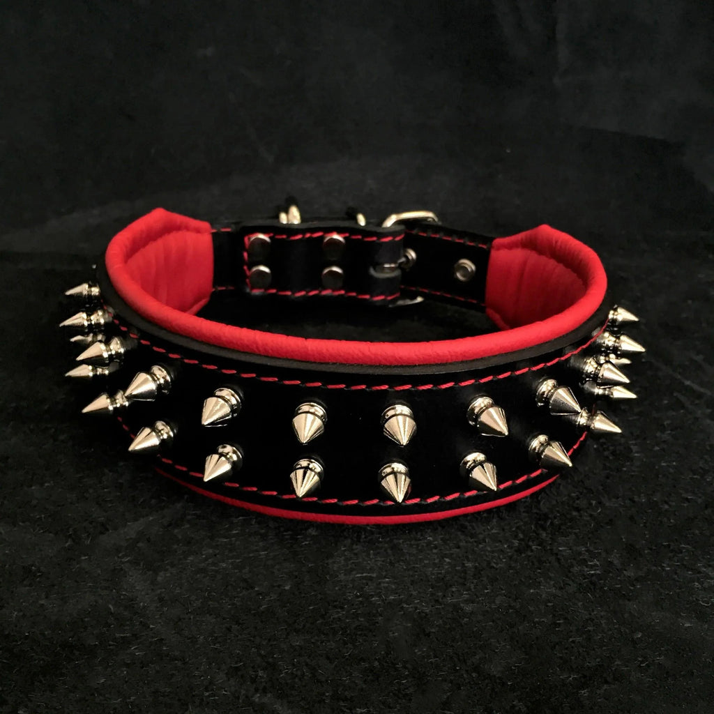 "Frenchie" collar by Bestia Dog Gear