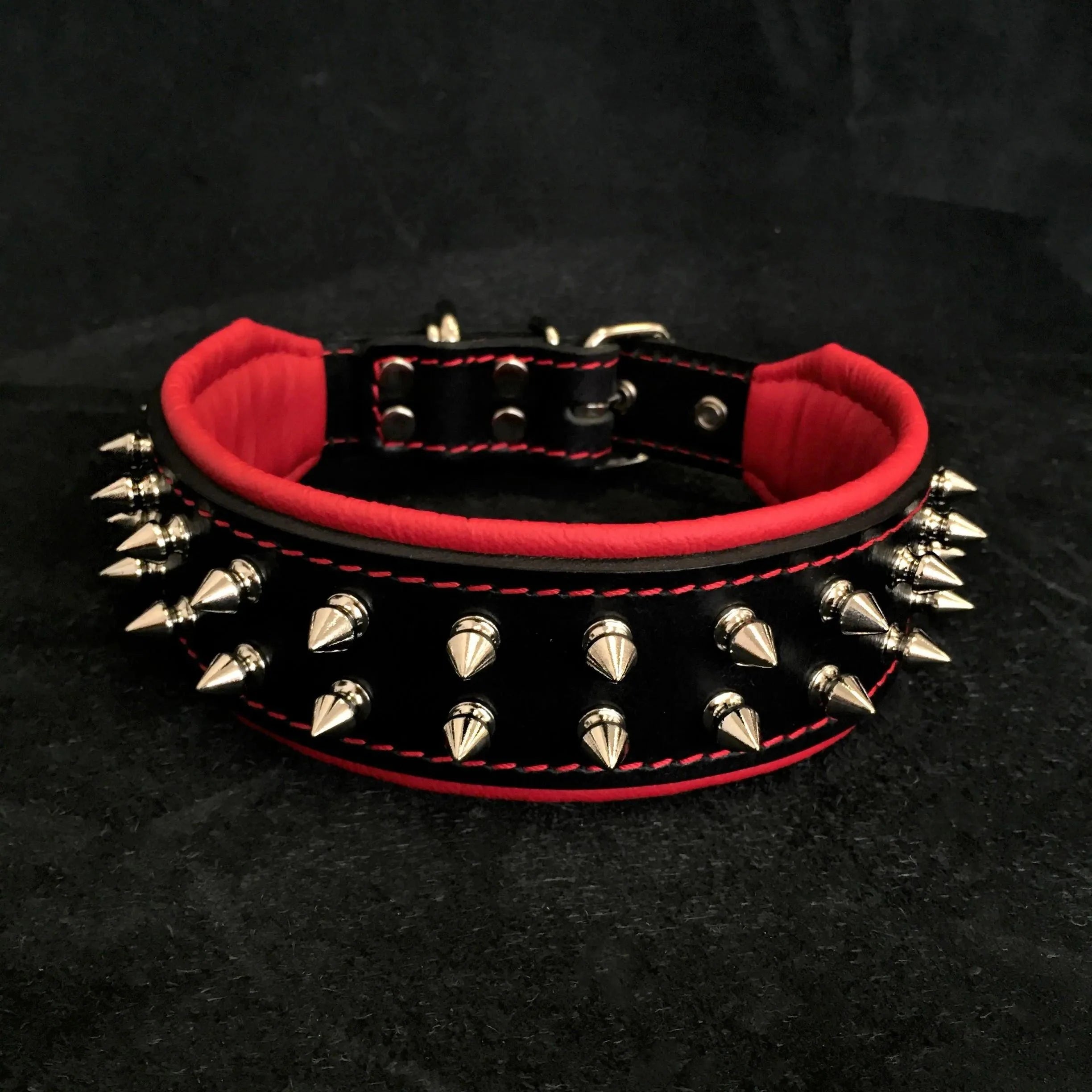 "Frenchie" collar by Bestia Dog Gear