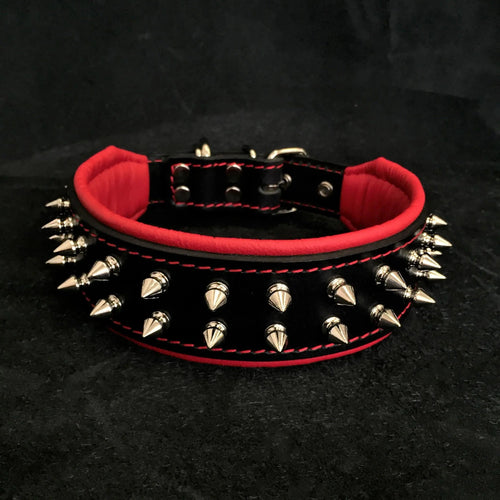 "Frenchie" collar by Bestia Dog Gear
