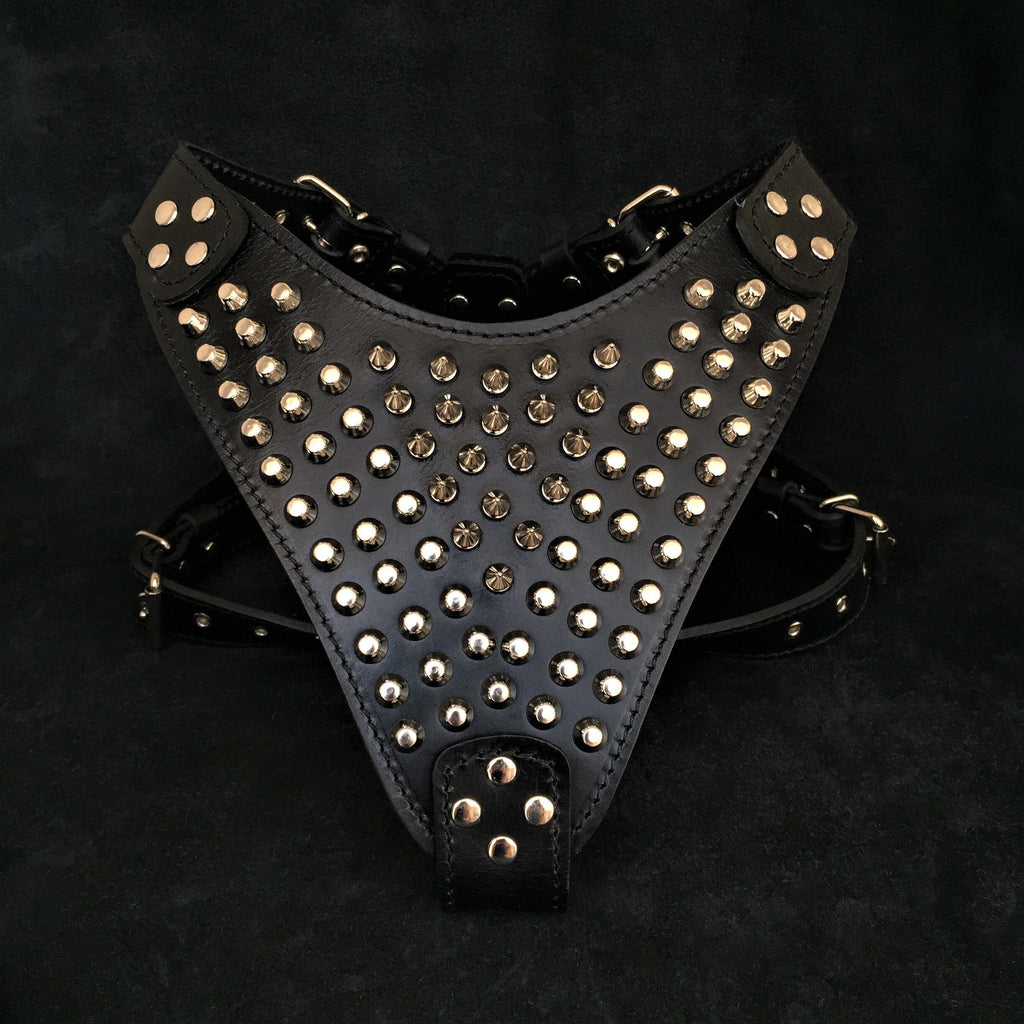 The "Gladiator" harness by Bestia Dog Gear