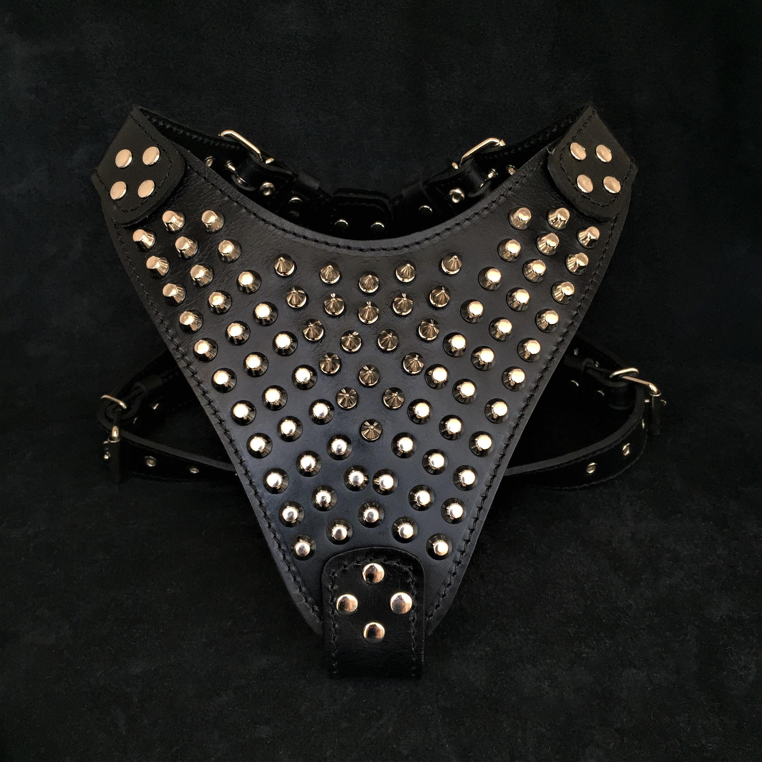 The "Gladiator" harness by Bestia Dog Gear