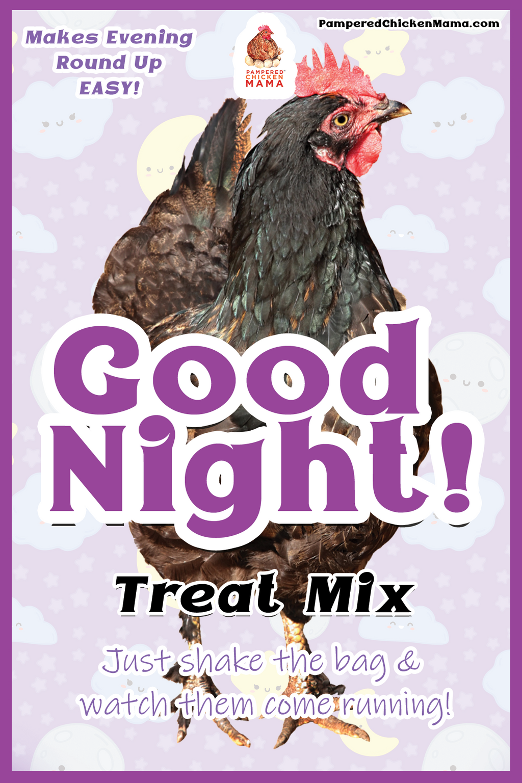 Boo Box: 6 Seasonal Fall & Halloween Themed Treats For Chickens, Ducks, Turkeys, Quail, And Other Poultry by Dahlia Pets