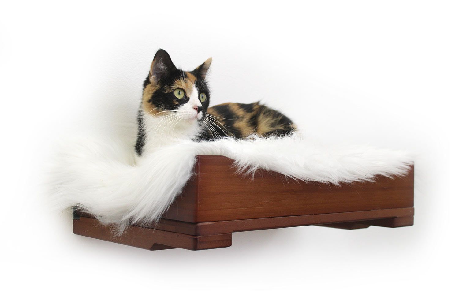 The Cat Nest Bed by Catastrophic Creations
