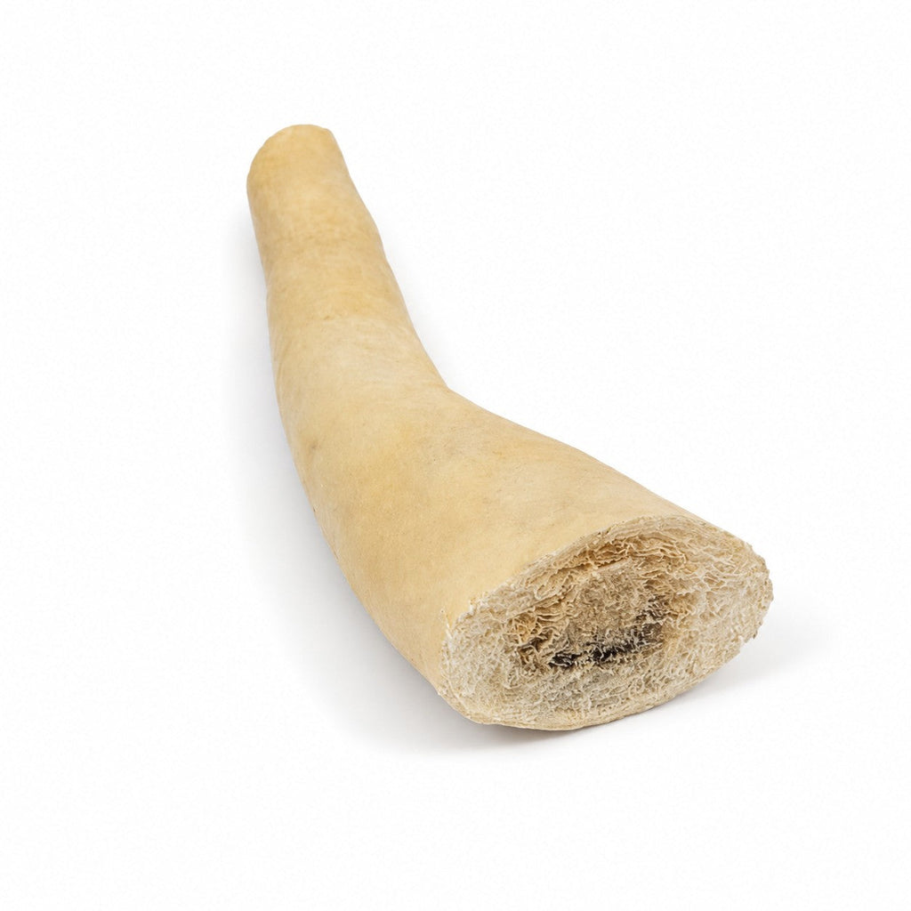 5" Grass-Fed Cow Tail Dog Chews, 25-Pack by American Pet Supplies