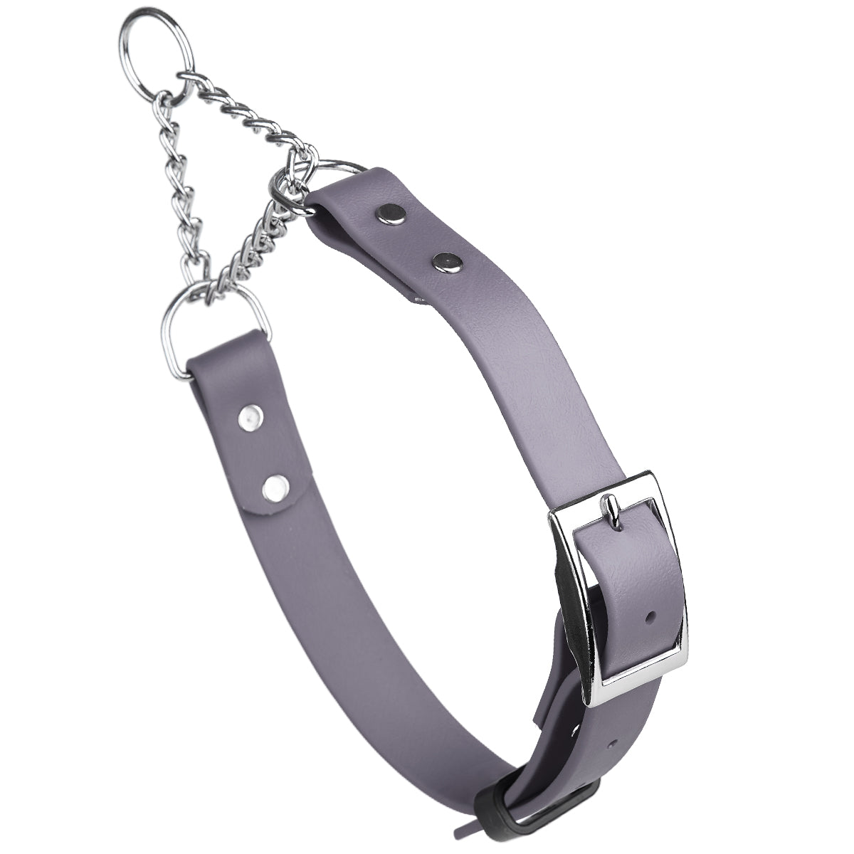 Biothane Adjustable Martingale Collar with Metal Buckle by Dogline