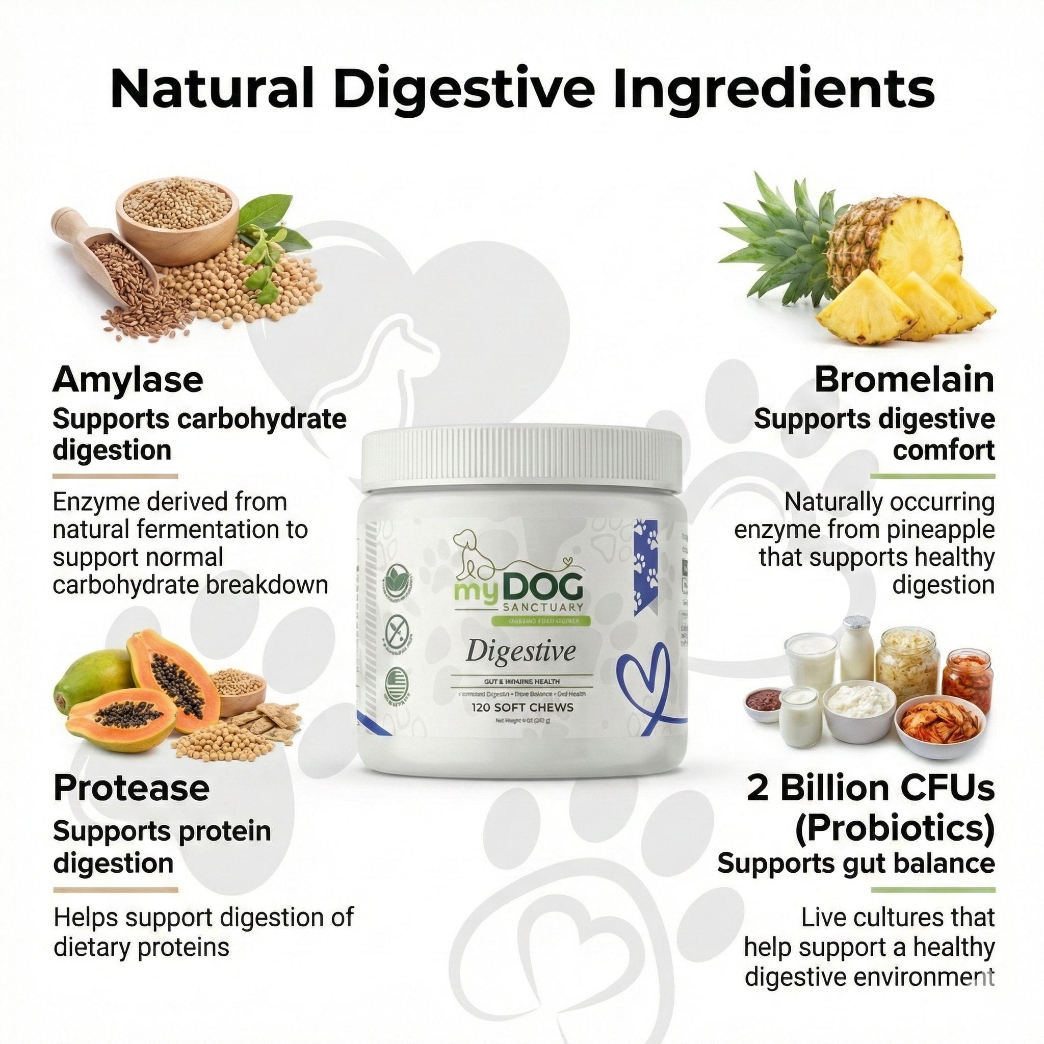 Gut Garden Digestive Support Chews by My Dog Sanctuary