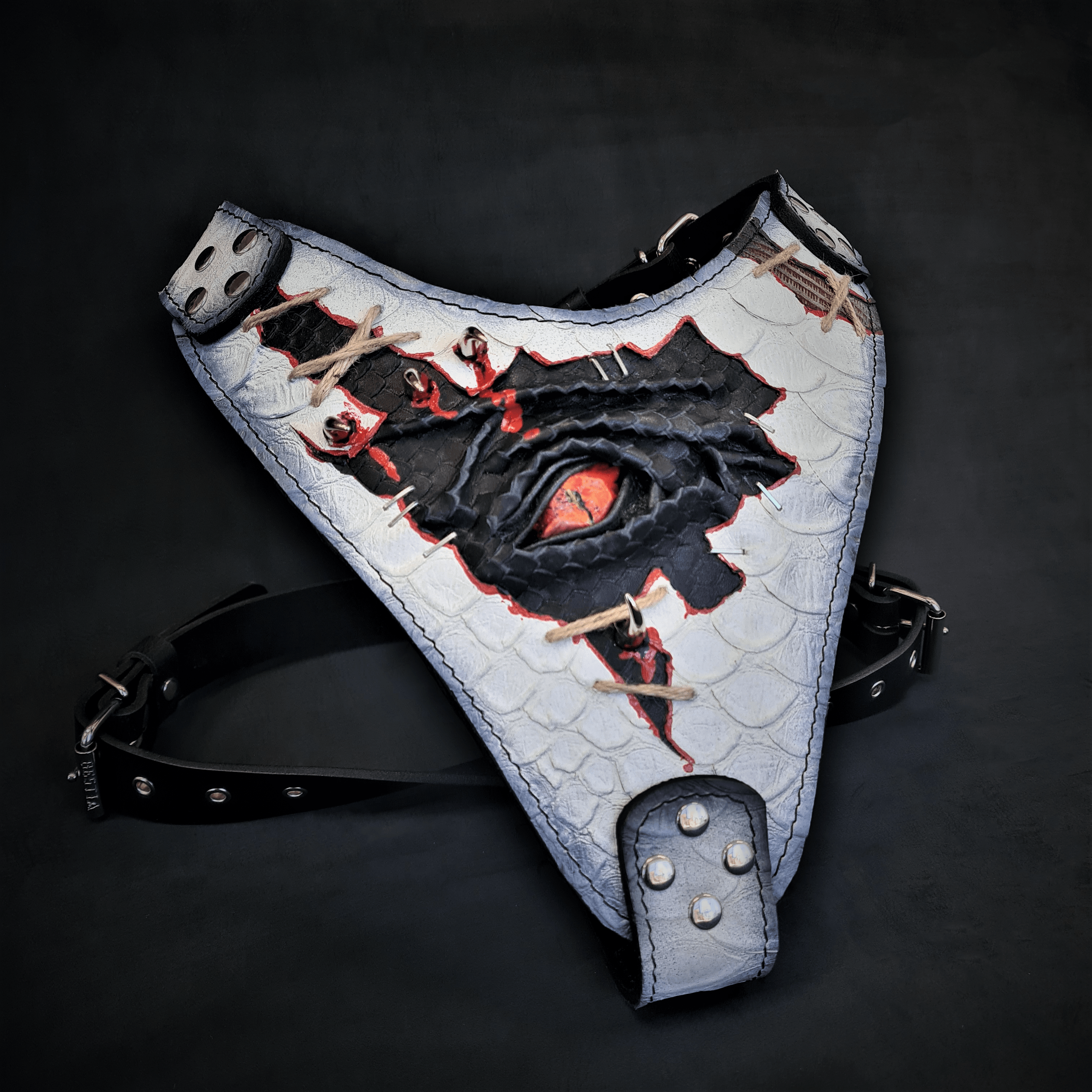 The “Dragon's Eye” Harness LIMITED! by Bestia Dog Gear