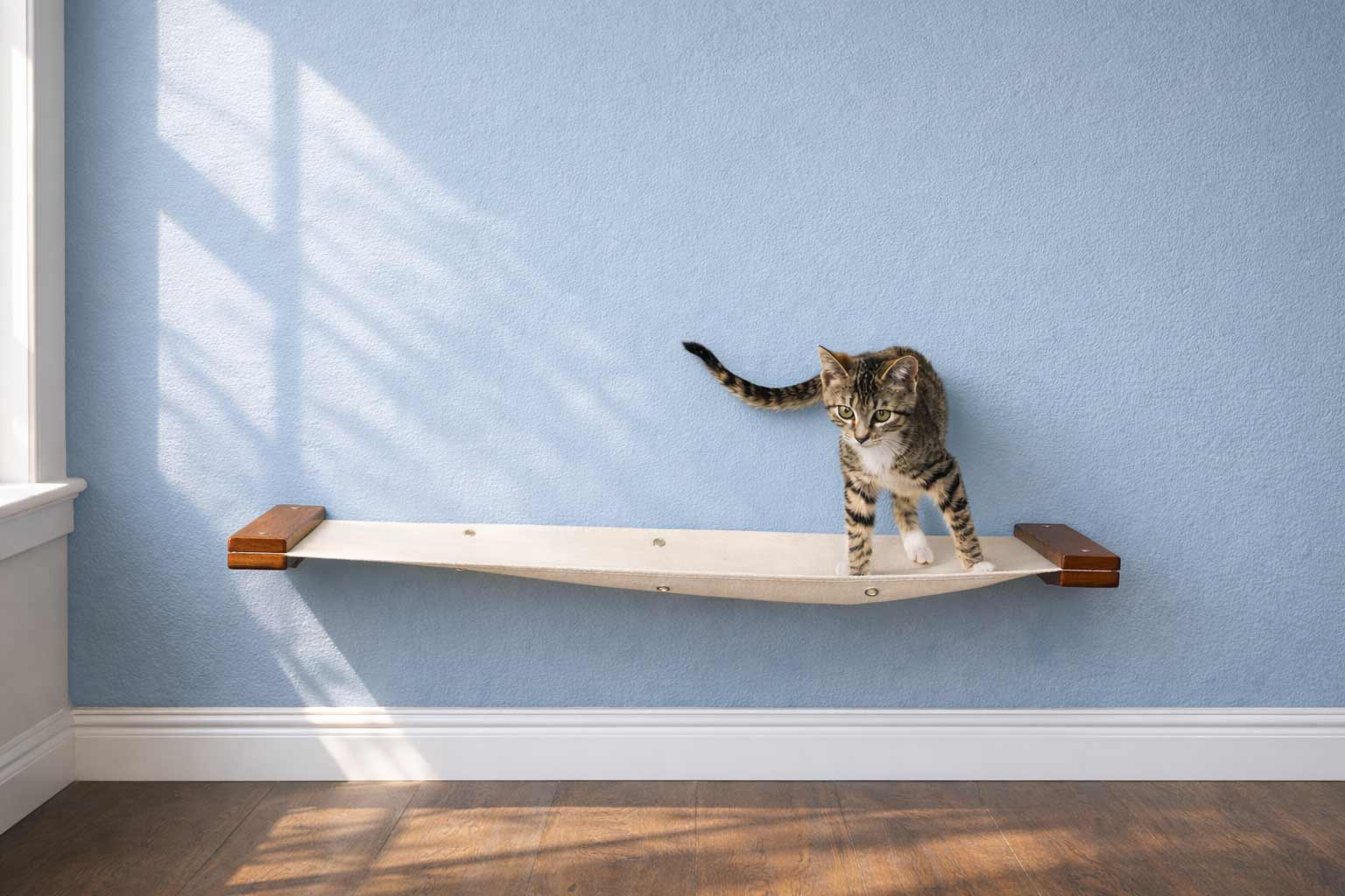 Hanging Cat Bed Hammock by Catastrophic Creations