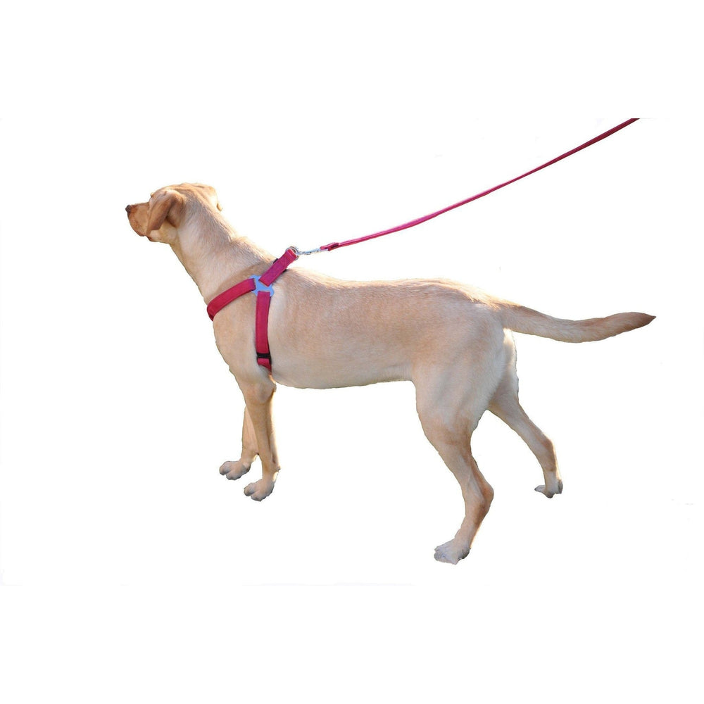 Comfort Microfiber Flat Step-In Dog Harness by Dogline