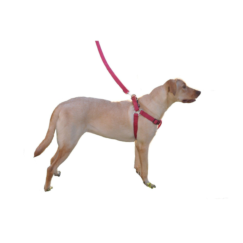 Comfort Microfiber Flat Step-In Dog Harness by Dogline