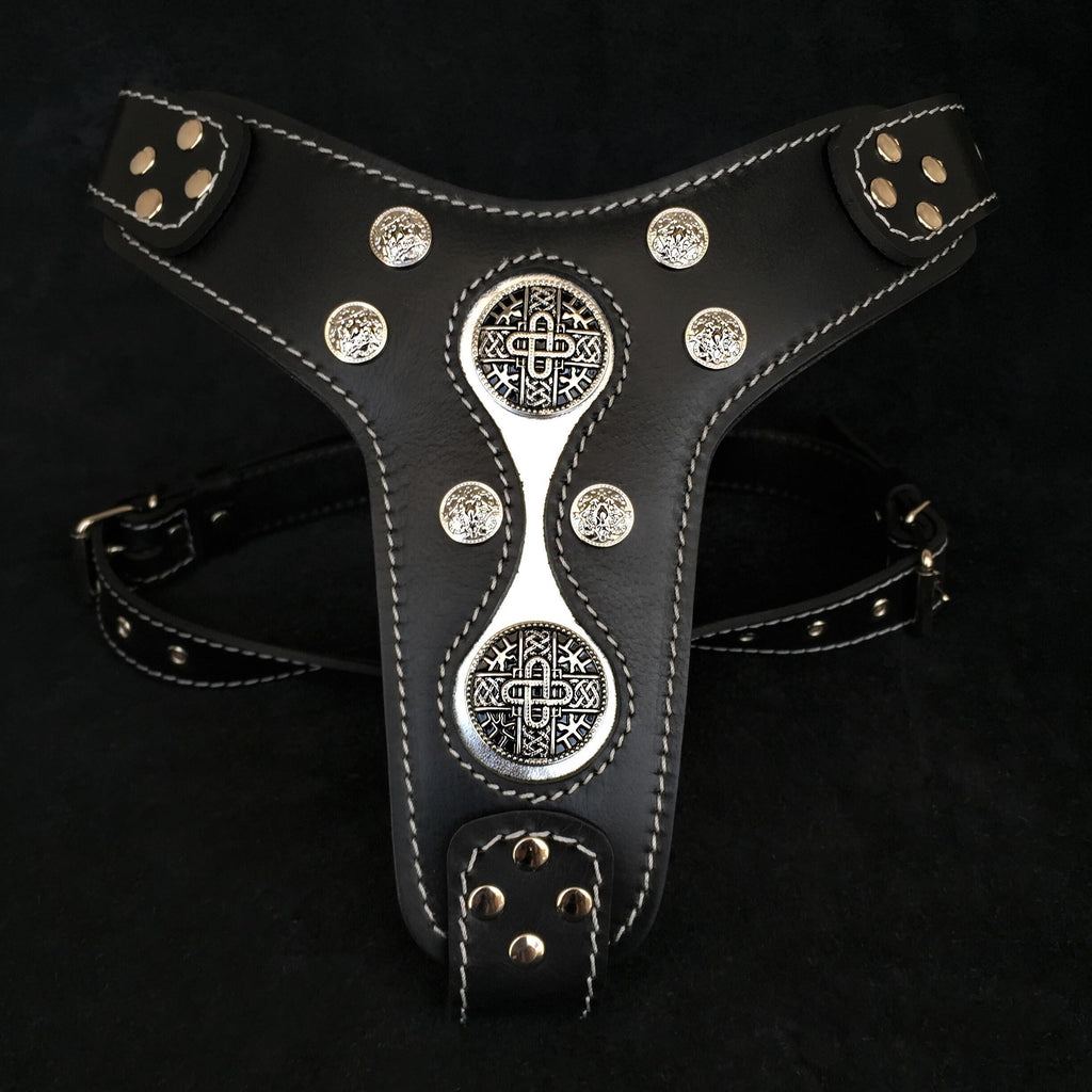 The "Hektor" harness by Bestia Dog Gear
