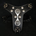 The "Hektor" harness by Bestia Dog Gear