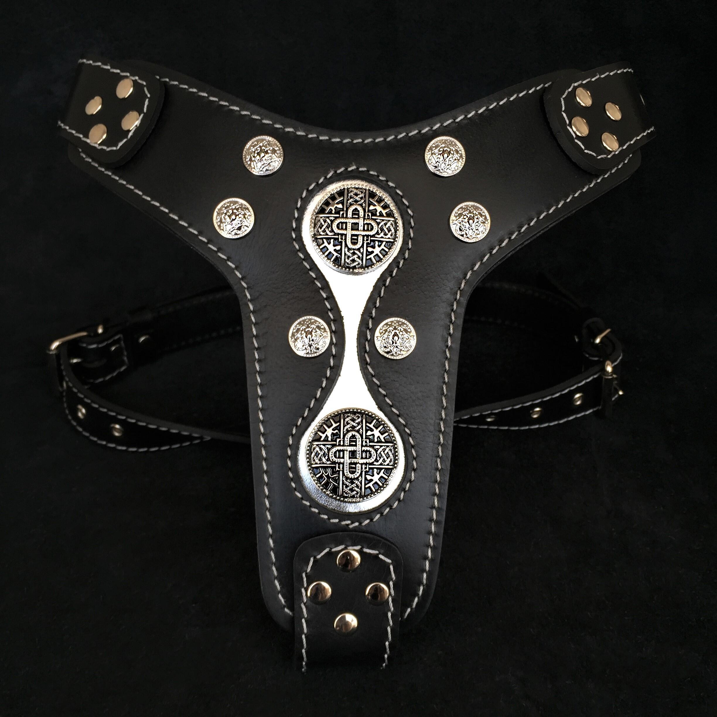 The "Hektor" harness by Bestia Dog Gear