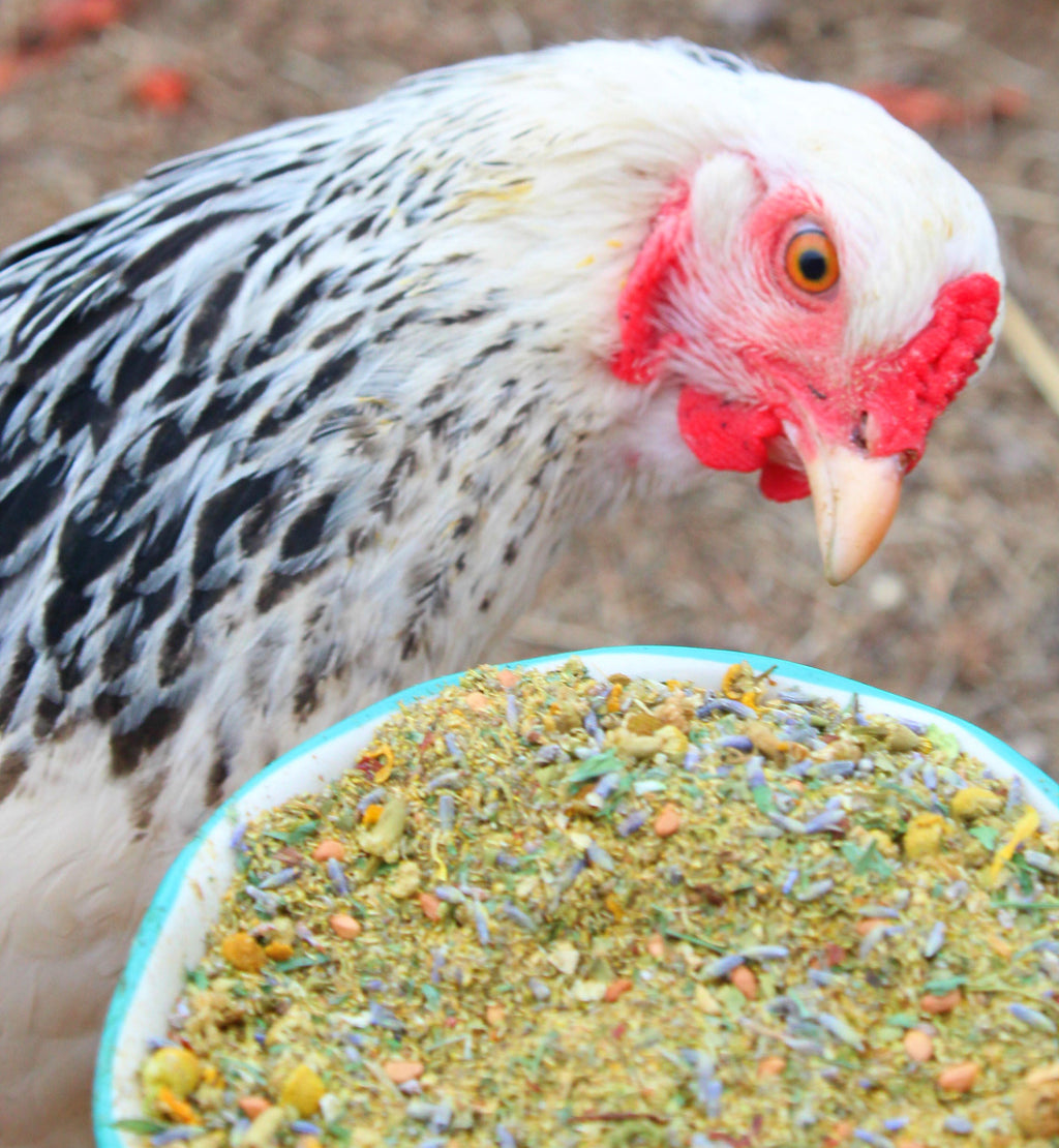 Scent of Spring Nesting Herbs For Backyard Chickens With Lavender, Chamomile, Calendula, and more! by Dahlia Pets