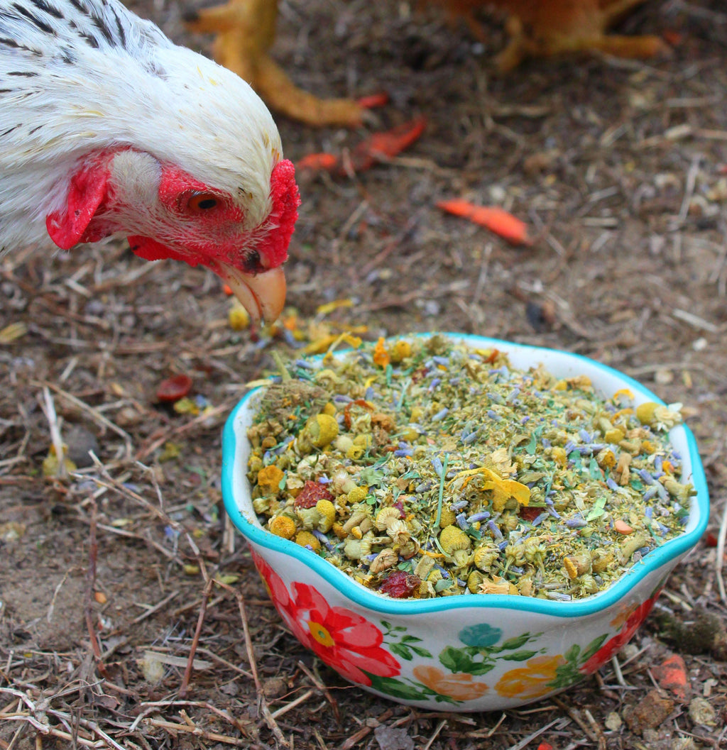 Scent of Spring Nesting Herbs For Backyard Chickens With Lavender, Chamomile, Calendula, and more! by Dahlia Pets